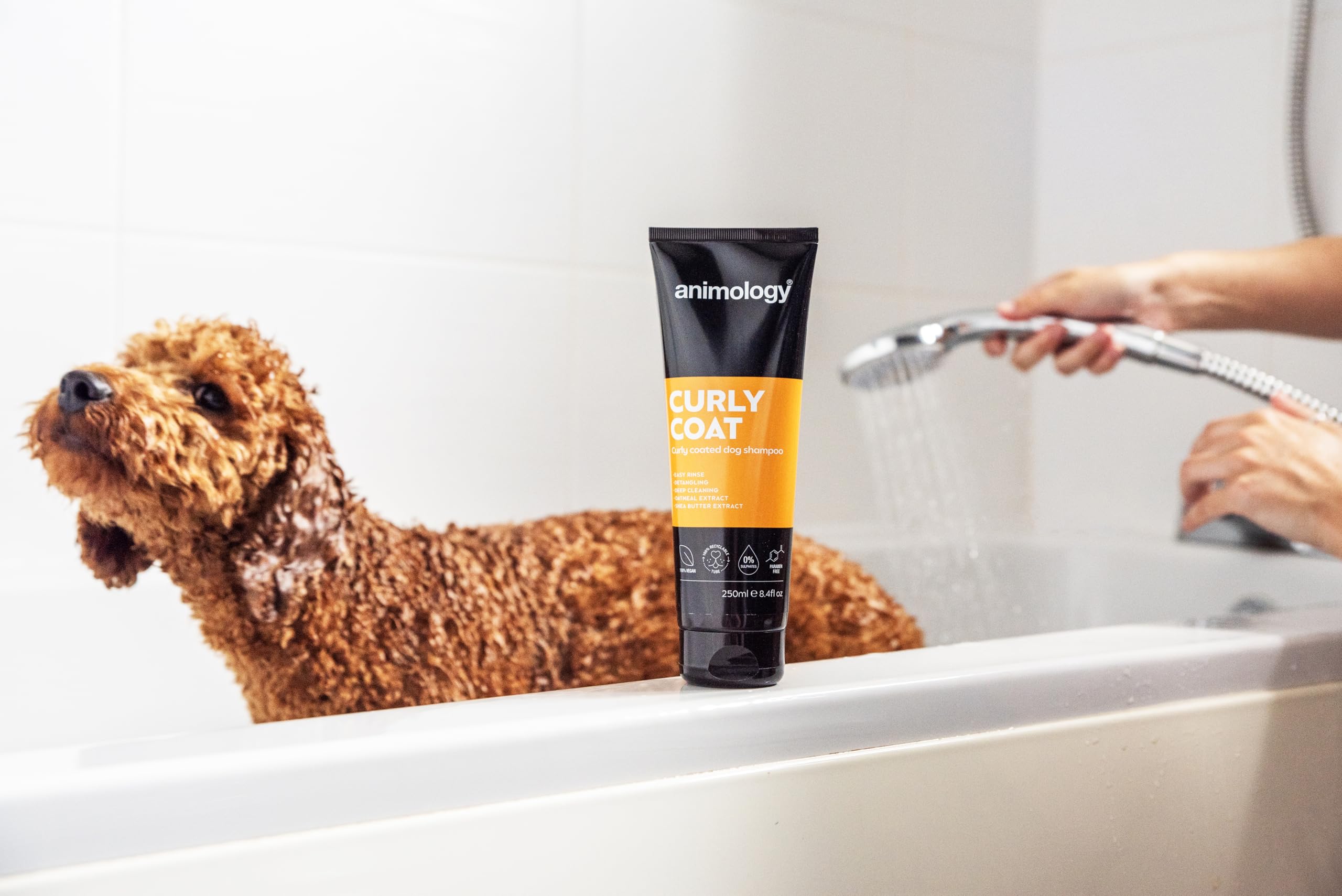 Animology Curly Coat Dog Shampoo for Poodles & Curly Haired Dogs - 250ml Moisturizing & Detangling Pet Shampoo (Pack of 1) - Perfect for Grooming, Bath Time & Show Preparation