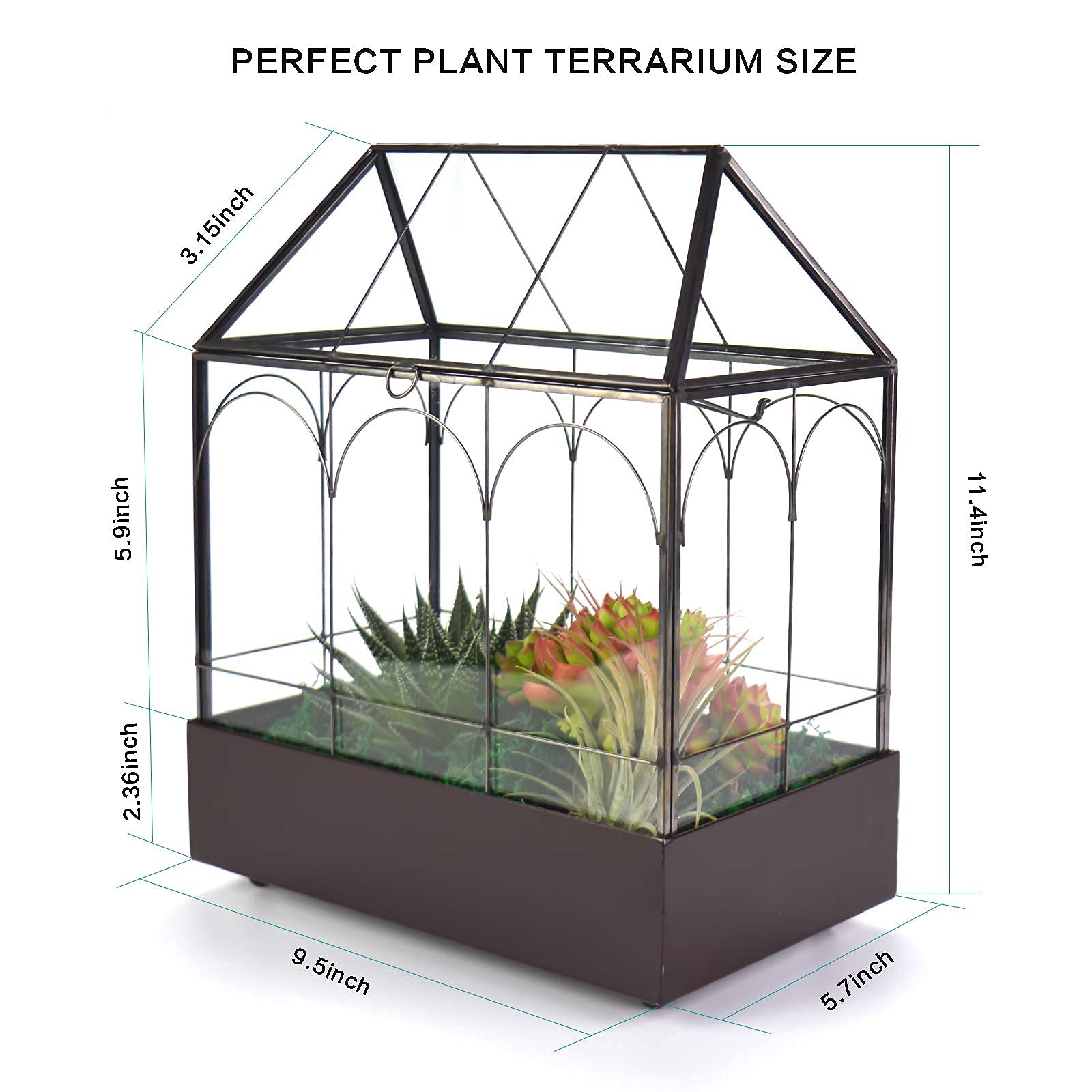 Large Tall Glass Plant Terrarium for Succulents & Air Plants – 9.5”X5.7”X11.4” House Terrarium Kit with Lip and Tray | Perfect for Home Decor, Office Desk & Indoor Gardening