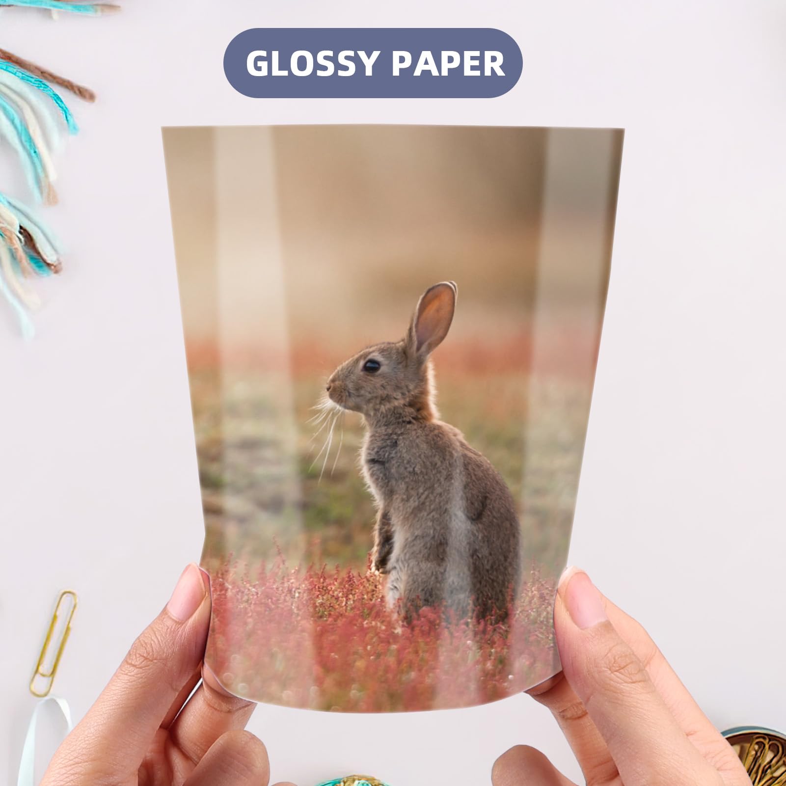 ZBEIVAN 11x14 Glossy Photo Paper - 50 Sheets, 200 GSM, Premium Inkjet Printer Paper for Dye Ink - Ideal for Photo Printing, Scrapbooking & Professional Photography