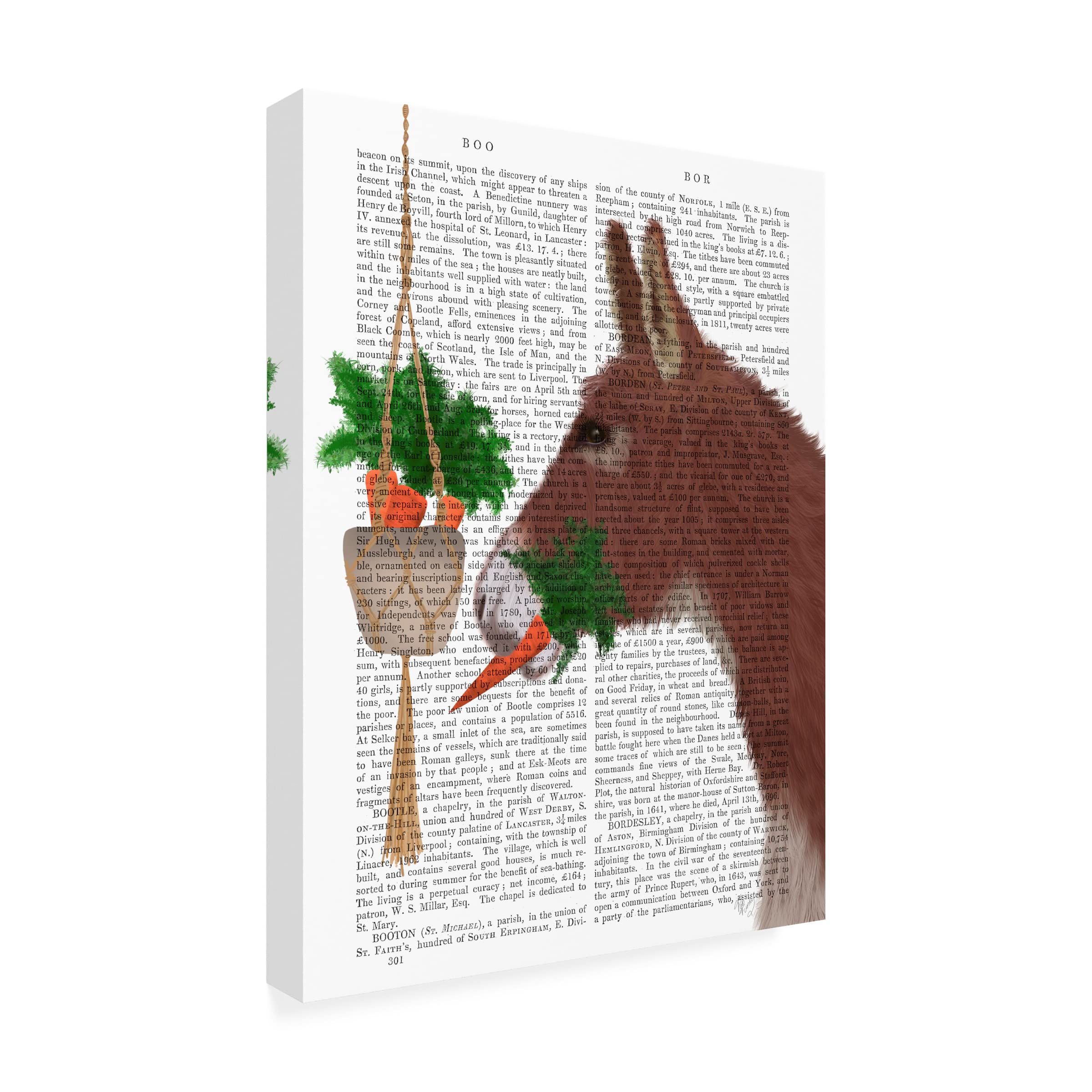 Trademark Fine Art 'Donkey Lunch Book Print' Canvas Wall Art by Fab Funky - Perfect for Living Room, Bedroom & Office Decor