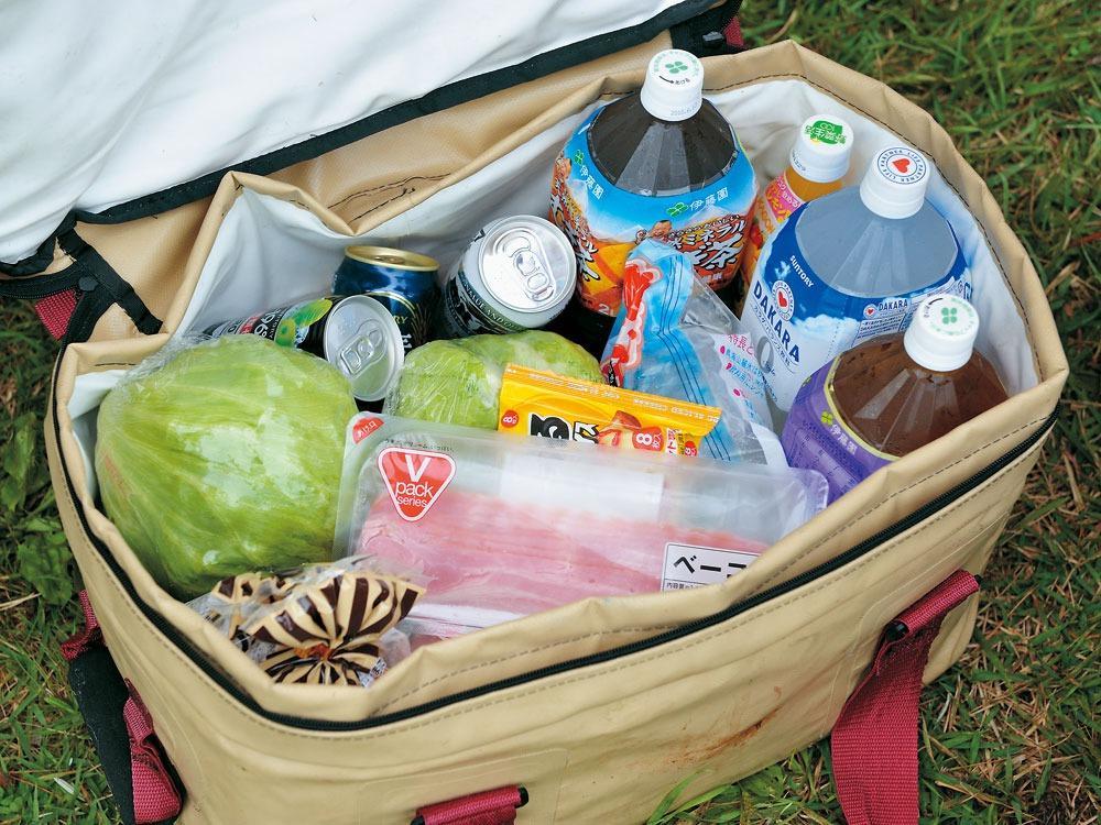 Premium Soft Cooler 38 FP 138 - Insulated Lunch Bag for Picnics, Camping & Outdoor Adventures | Leakproof & Lightweight Cooler for Food & Drinks