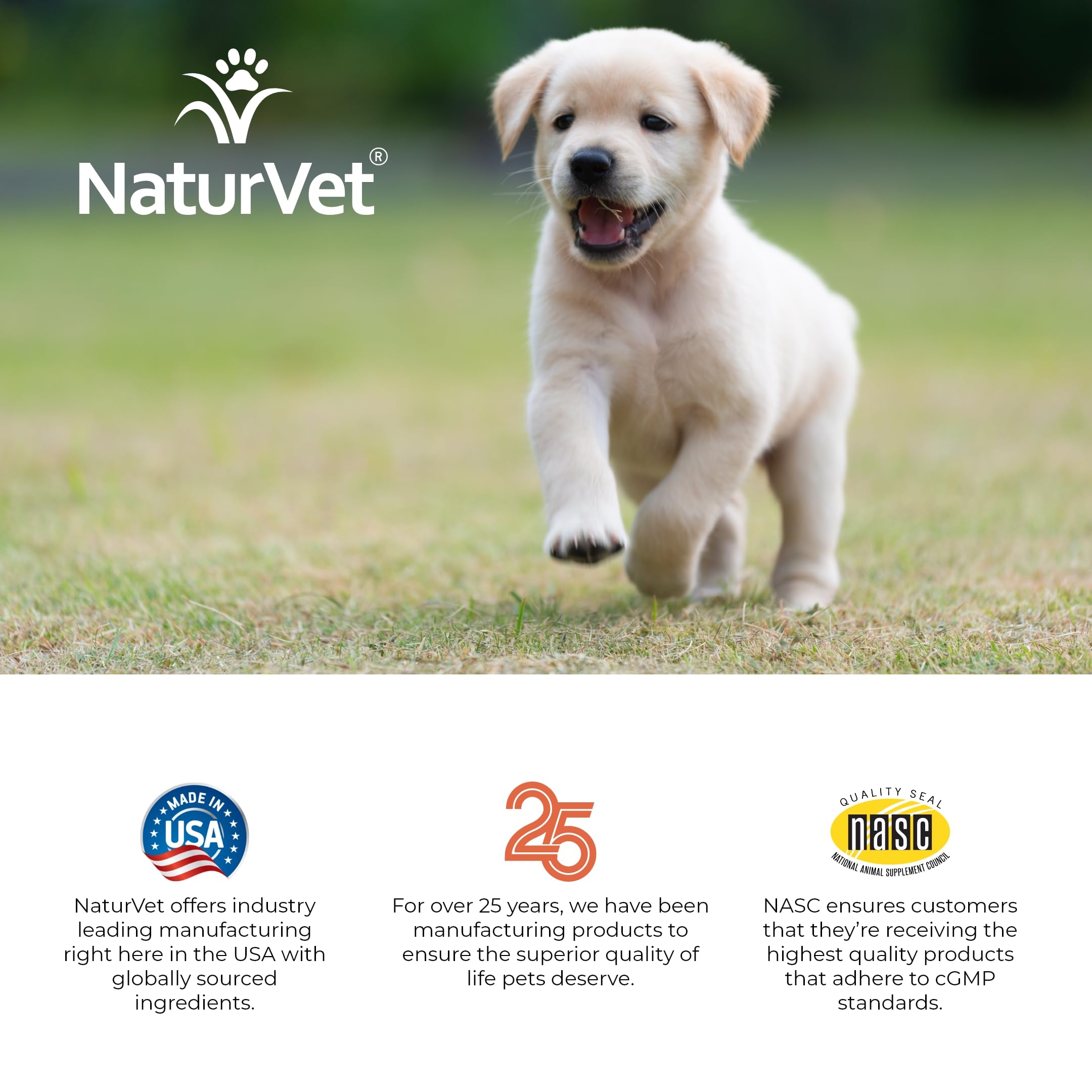 NaturVet VitaPet Puppy Daily Vitamins for Dogs with Breath Aid - Essential Vitamins, Minerals, Amino & Fatty Acids - 70 Soft Chews for Puppy Health & Fresh Breath - Perfect for Growing Puppies & Daily Nutrition Support