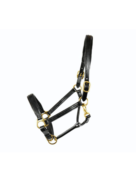 Premium Dever Leather Headcollar for Horses - Durable & Adjustable Equestrian Headgear - Perfect for Training, Grooming & Show Events
