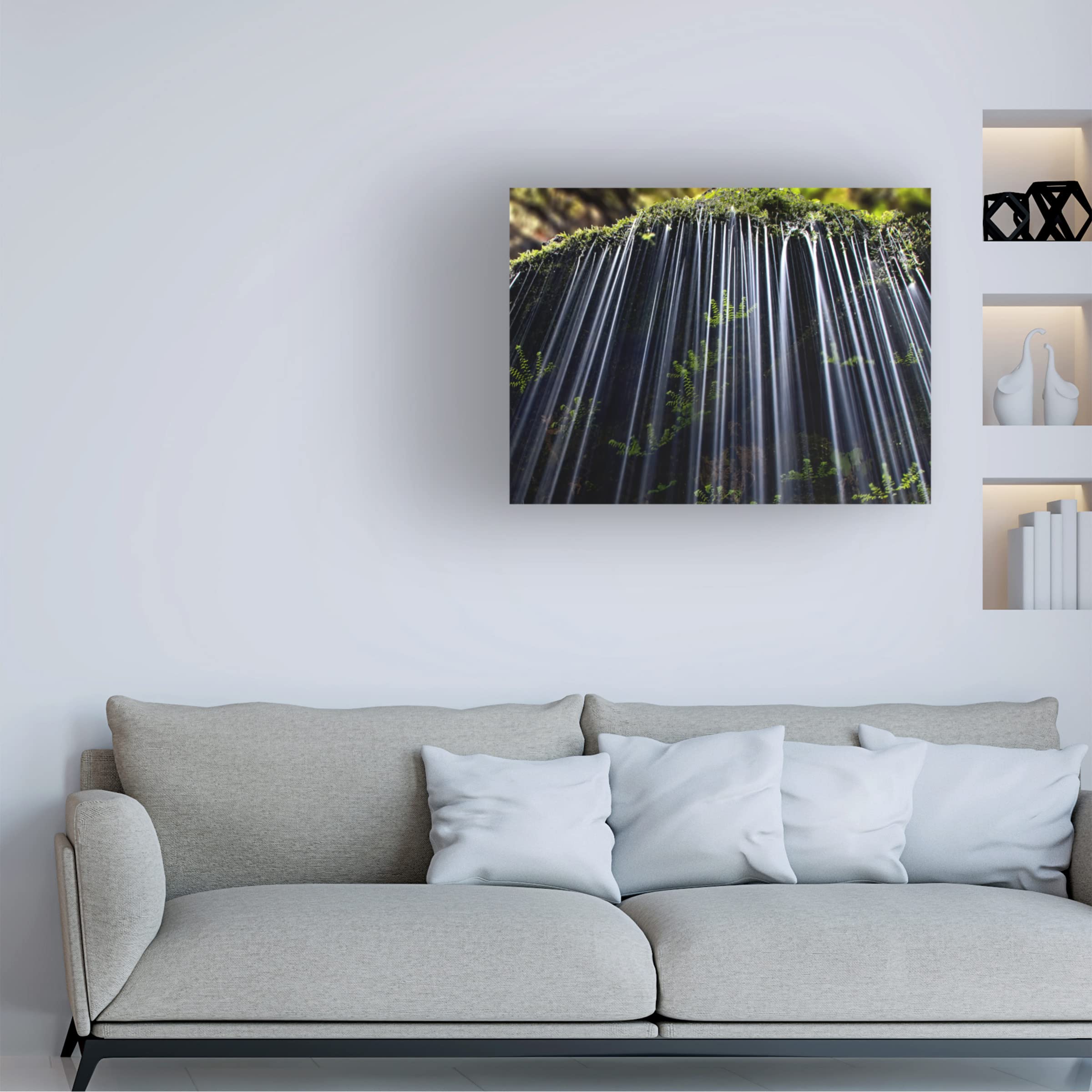 Andrew J. Lee 'Ferns In Spring' Canvas Wall Art Print - Nature Botanical Decor for Living Room, Bedroom & Office