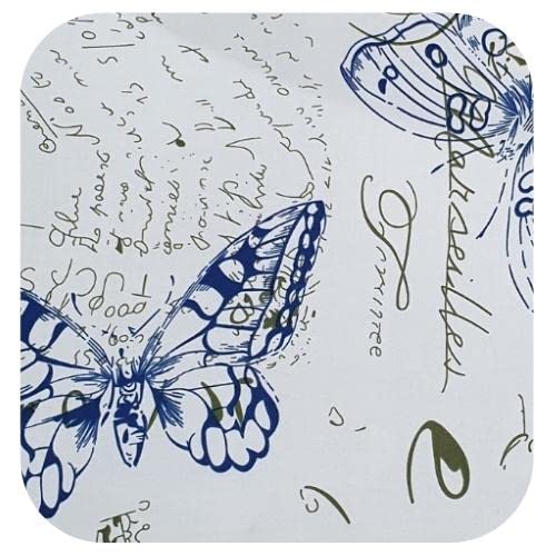 The Fairy Butterfly