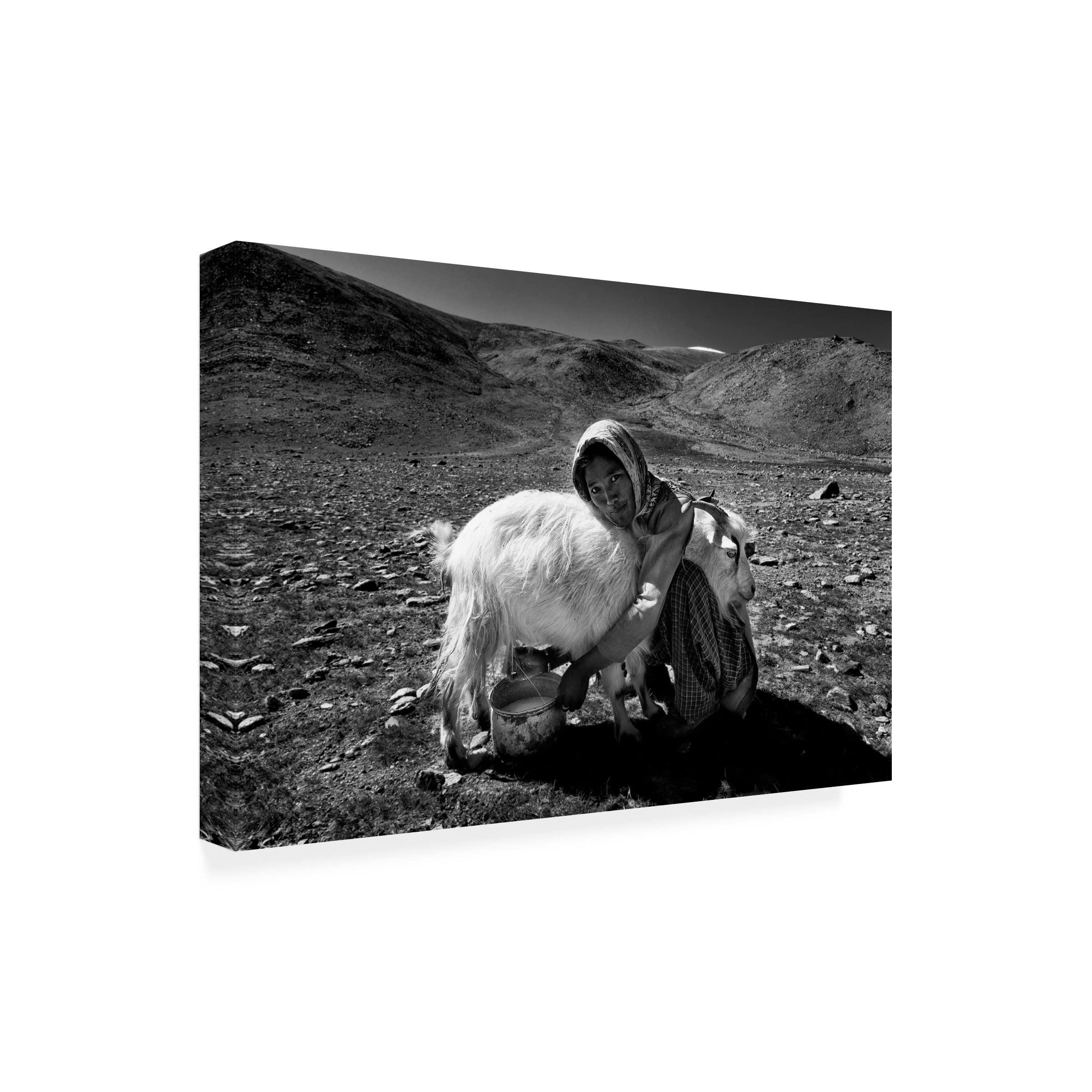 Trademark Fine Art 'Embrase' Canvas Wall Art by Joxe Inazio Kuesta - Modern Abstract Painting for Living Room, Bedroom & Office Decor