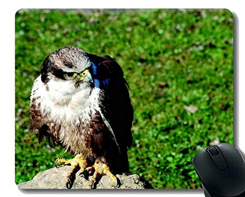 Personalized Skyling Bird of Prey Mouse Pad - Non-Slip Office Desk Mat for Computers & Laptops - Perfect for Gaming, Work & Home Office Setup