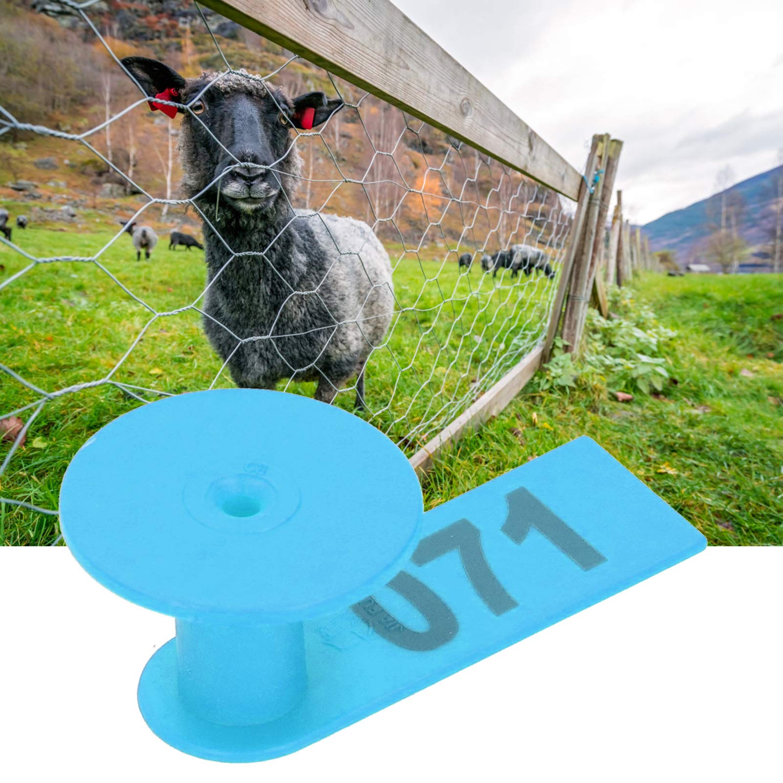 Rust-Proof Numbered Livestock Ear Tags - Corrosion-Resistant Blue Ear Tag Labels for Sheep, Cattle & Breeding Stock - Ideal for Meat Quarantine & Farm Management