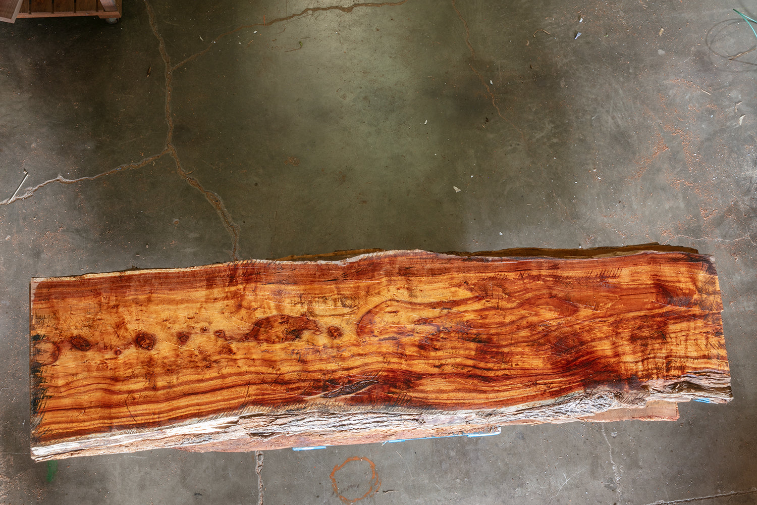 Premium Koa Wood Slab 1