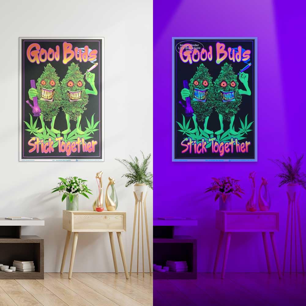 Premium Laminated Blacklight Poster - 23.5