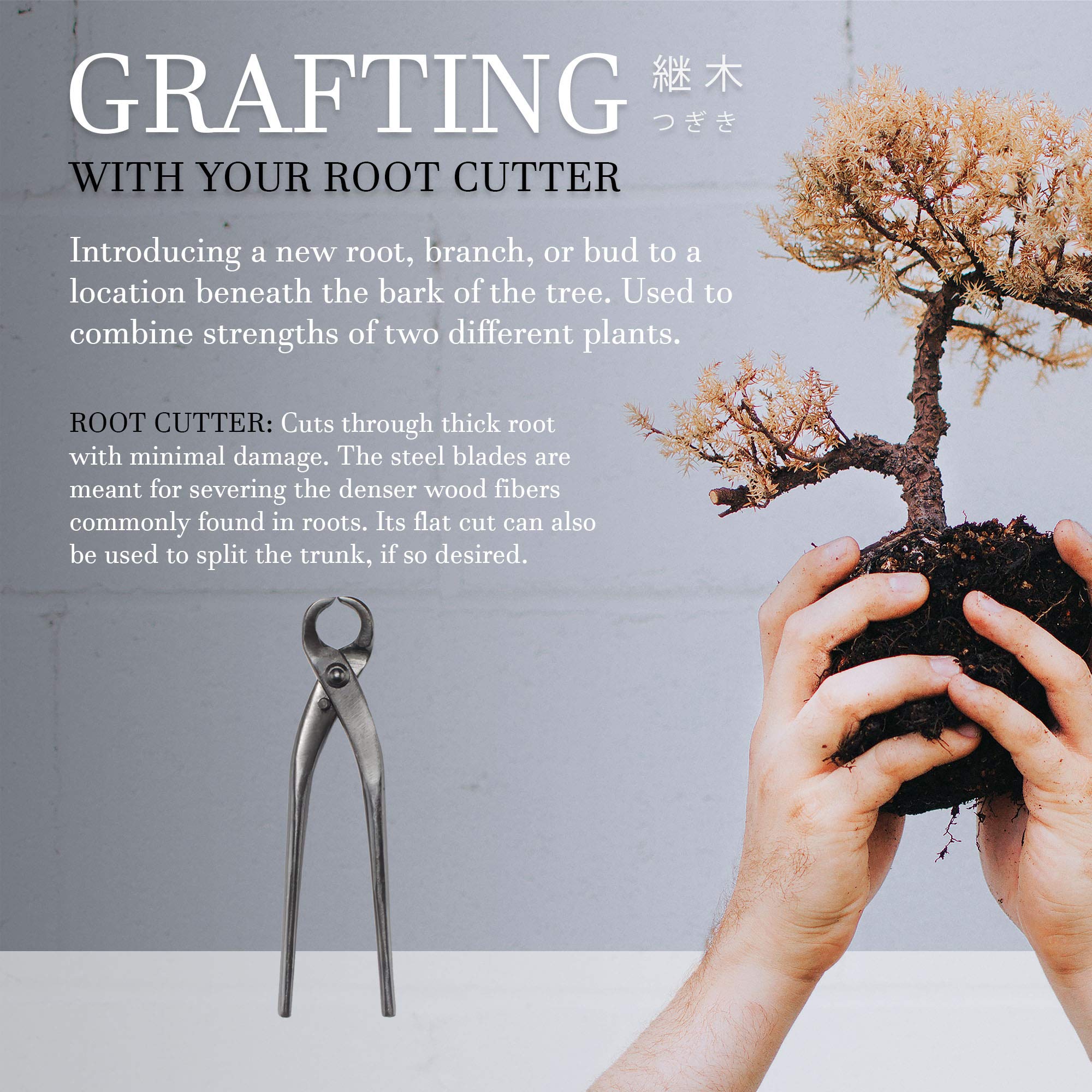 BambooMN 7.5 Inch Root Cutter Tool Set - 3 Piece Stainless Steel Gardening Shears for Pruning, Trimming, and Digging - Perfect for Garden, Lawn, and Outdoor Plant Care