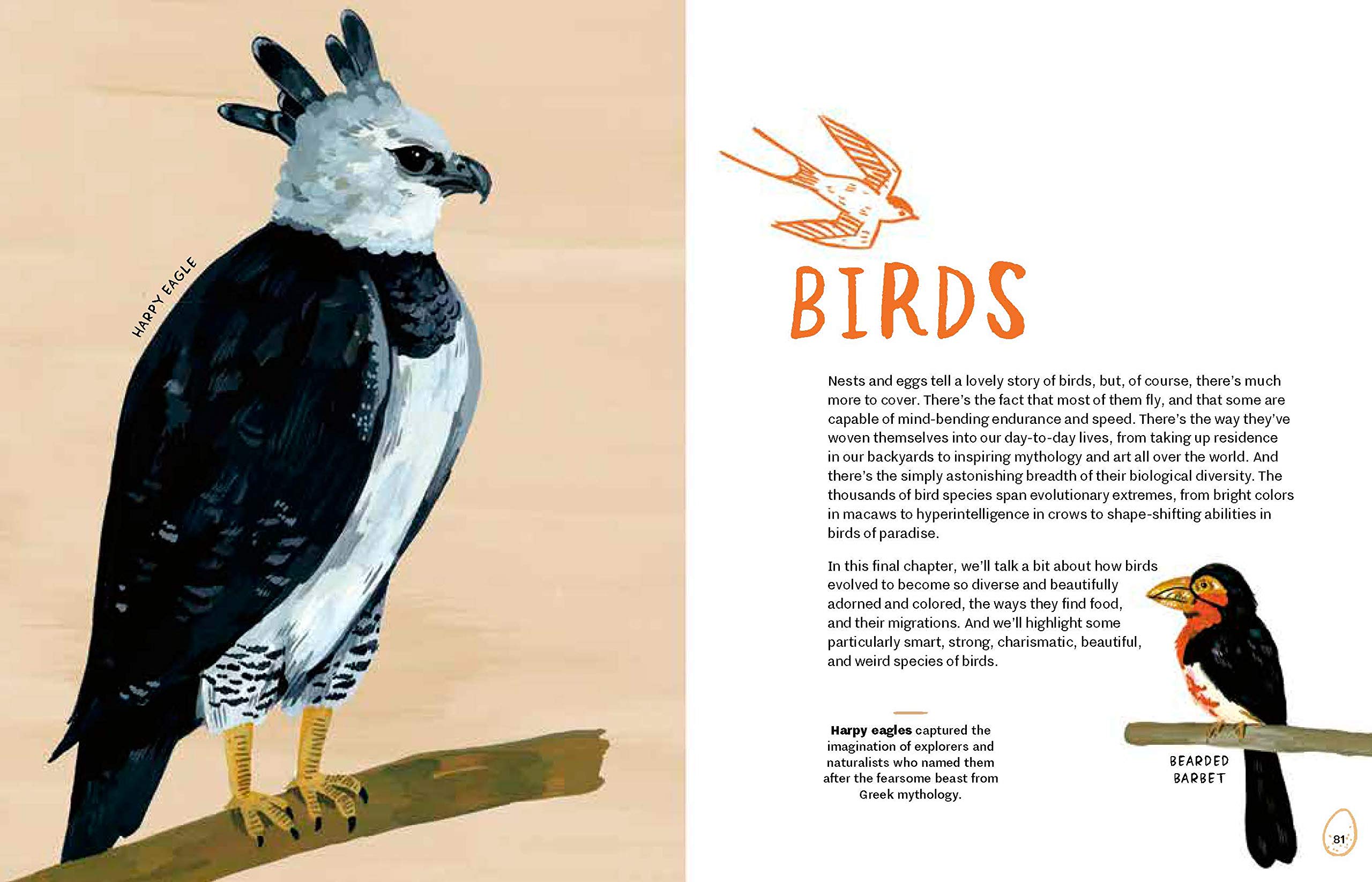 Nests, Eggs, Birds: An Illustrated Aviary Book - Beautiful Bird Watching Guide for Nature Lovers, Perfect for Birding Enthusiasts and Home Decor
