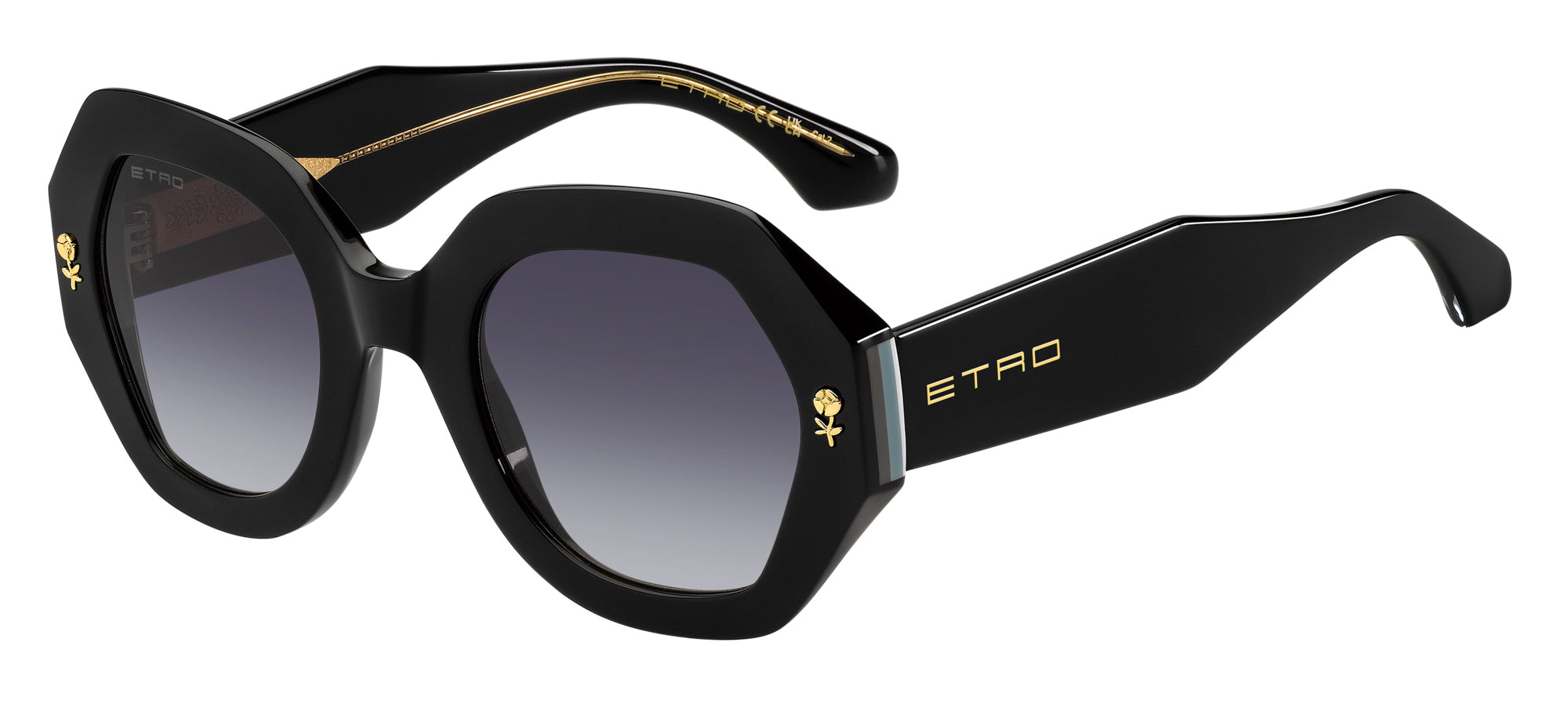 Etro 0009 S - Premium Luxury Sunglasses for Men & Women | UV Protection, Stylish Design | Perfect for Outdoor Activities, Travel & Fashion Statements