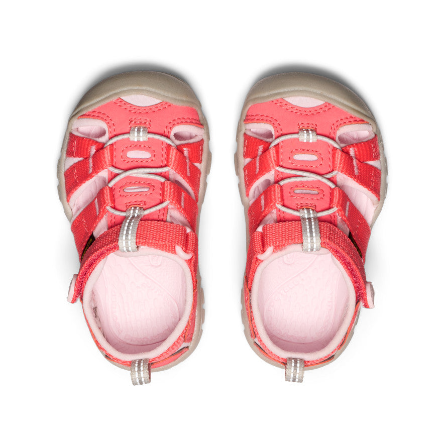 Toddlers' Seacamp II CNX Water Shoes | Dubarry/Giggle Pink | Non-Slip Beach & Pool Shoes for Kids