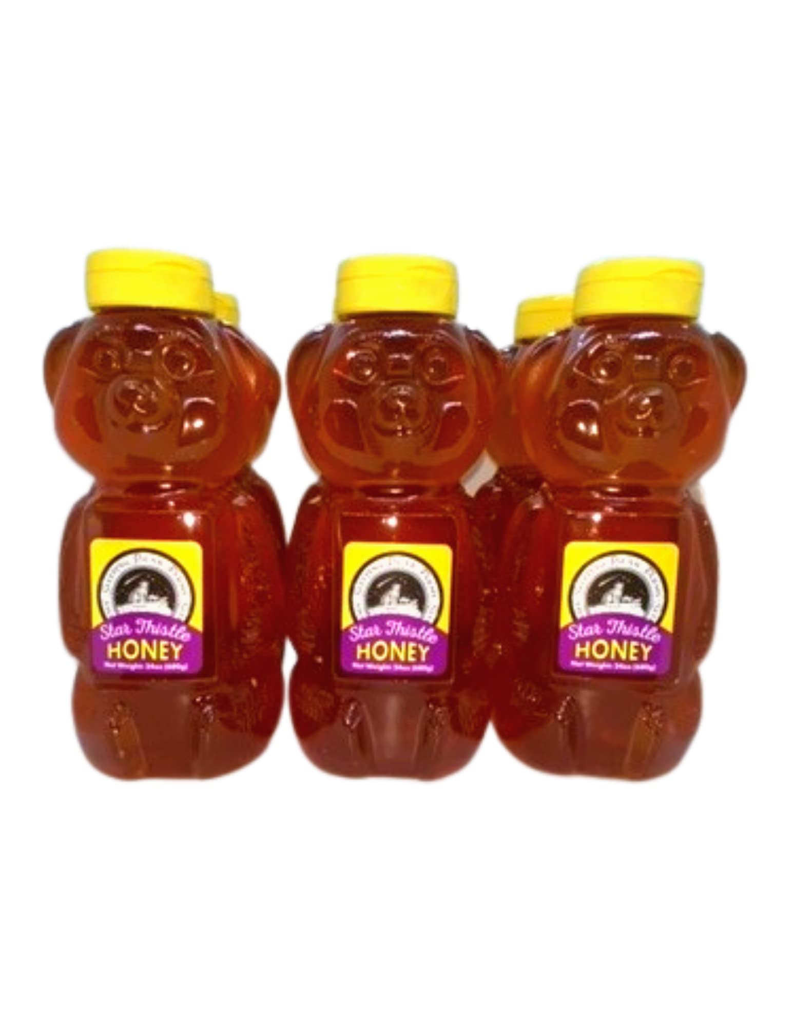 Pure Michigan Star Thistle Honey - 24 Oz (Case of 12) | Raw, Unpasteurized & Unblended | No Additives | Perfect for Tea, Baking & Natural Remedies