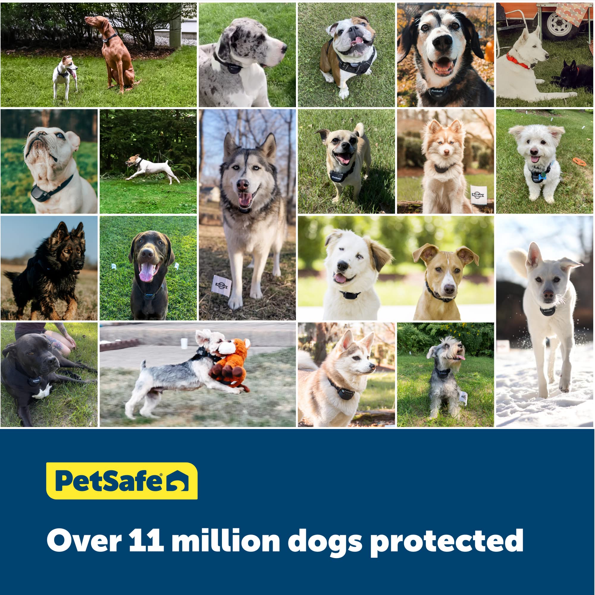 PetSafe Wireless Fence Extra Transmitter - Expand Wireless Dog & Cat Containment System Range | Compatible with Existing PetSafe Fences | Ideal for Large Yards, Farms & Rural Areas