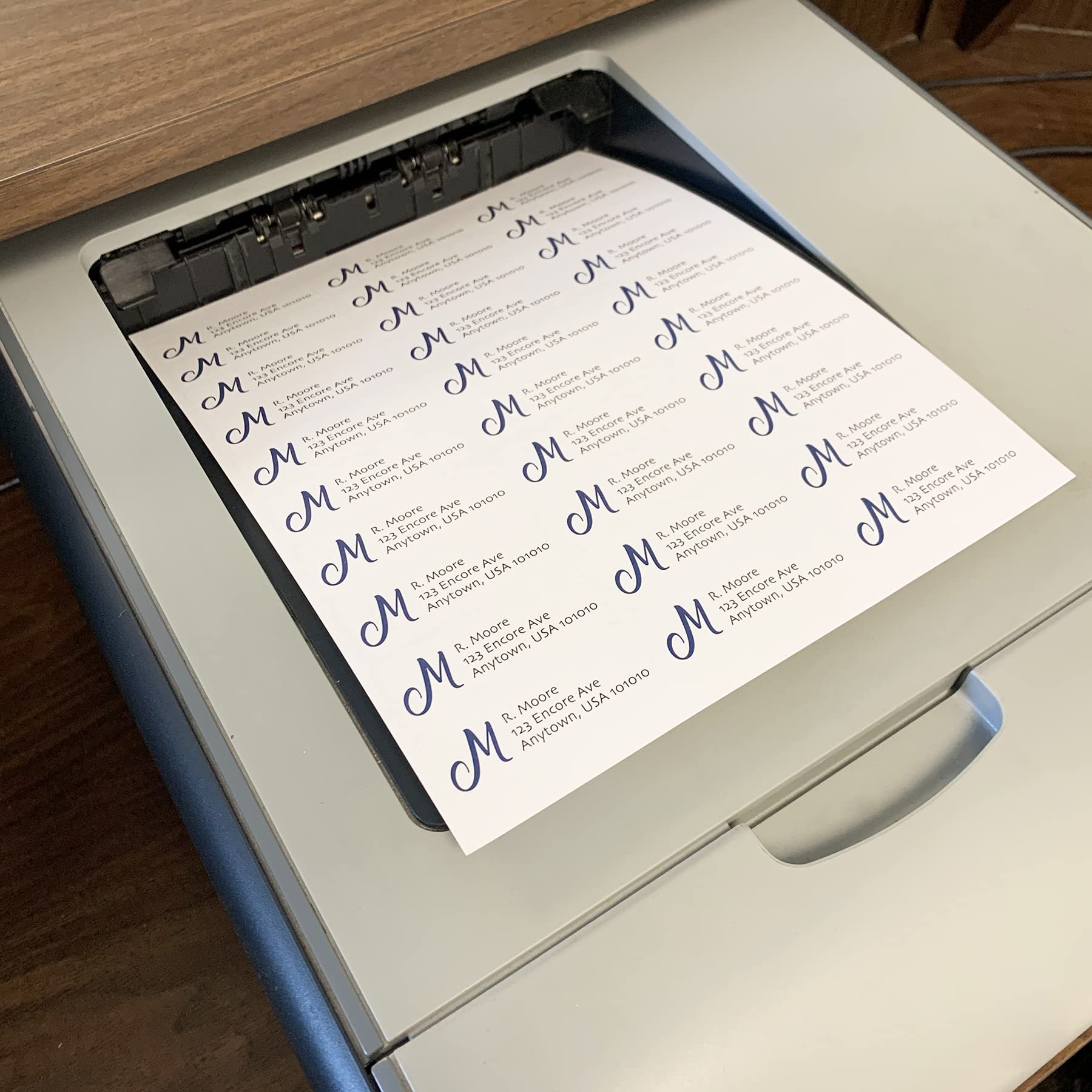 Removable Blank Address Labels 2.625