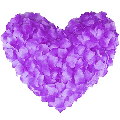 Transitional Purple