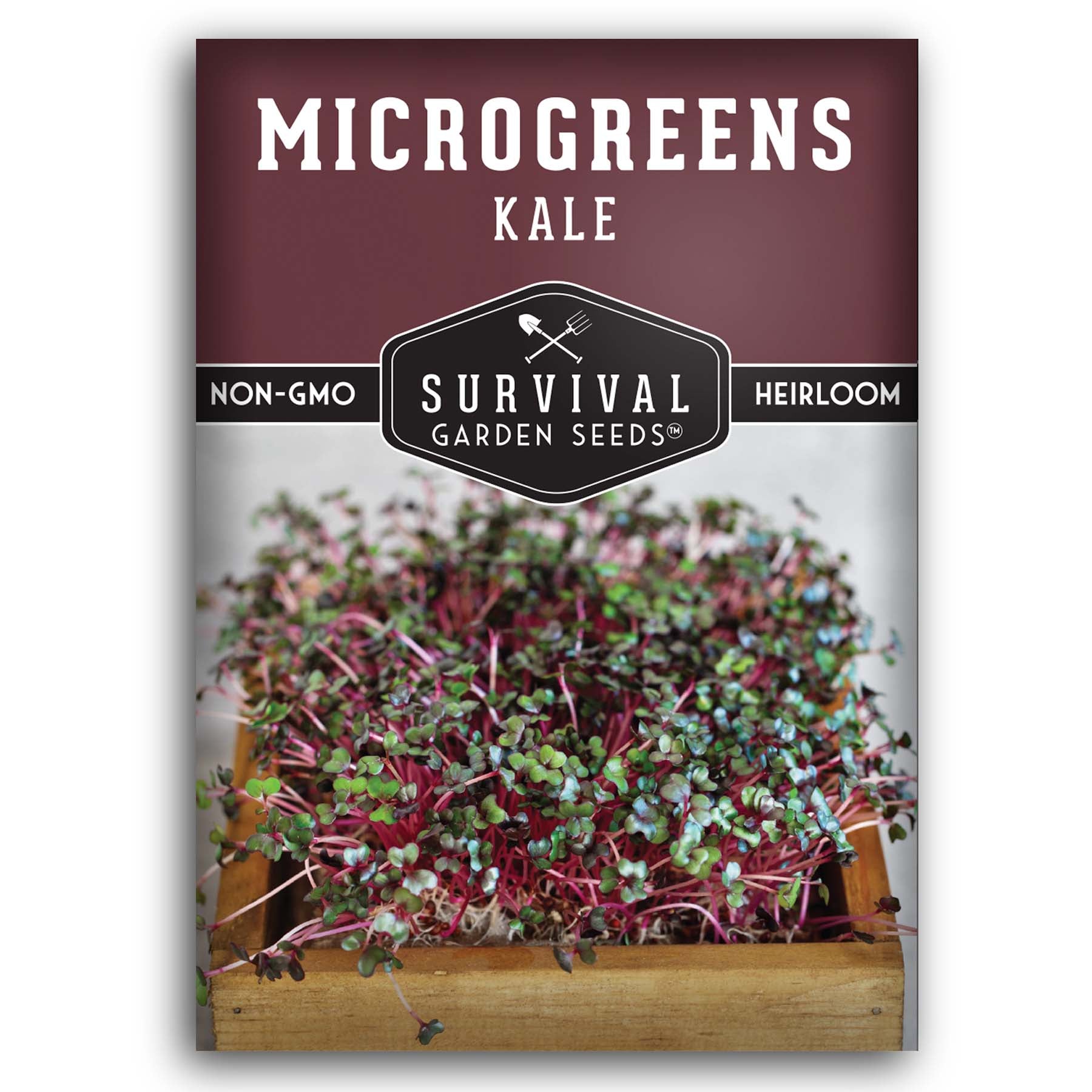 Organic Kale Microgreen Seeds for Home Growing – Non-GMO, High Germination Rate | Perfect for Salads, Smoothies & Healthy Eating