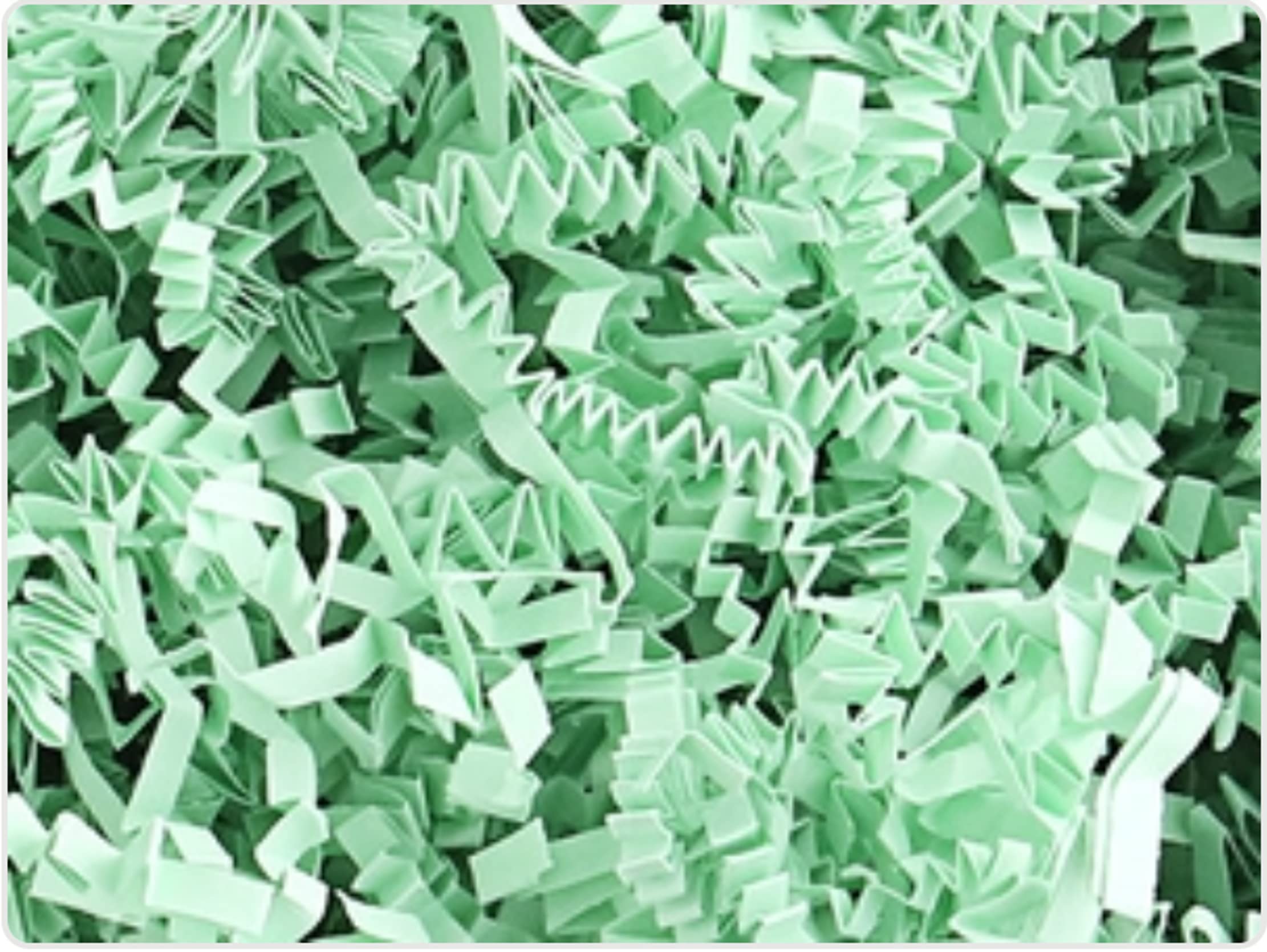 Mozingo 10 LB Crinkle Cut Paper Shred Filler - Bulk Mint Green Gift Packaging Filler for Gift Bags, Packing Boxes, Baskets & Party Decorations - Perfect for Birthdays, Weddings, Baby Showers & Holiday Gifts