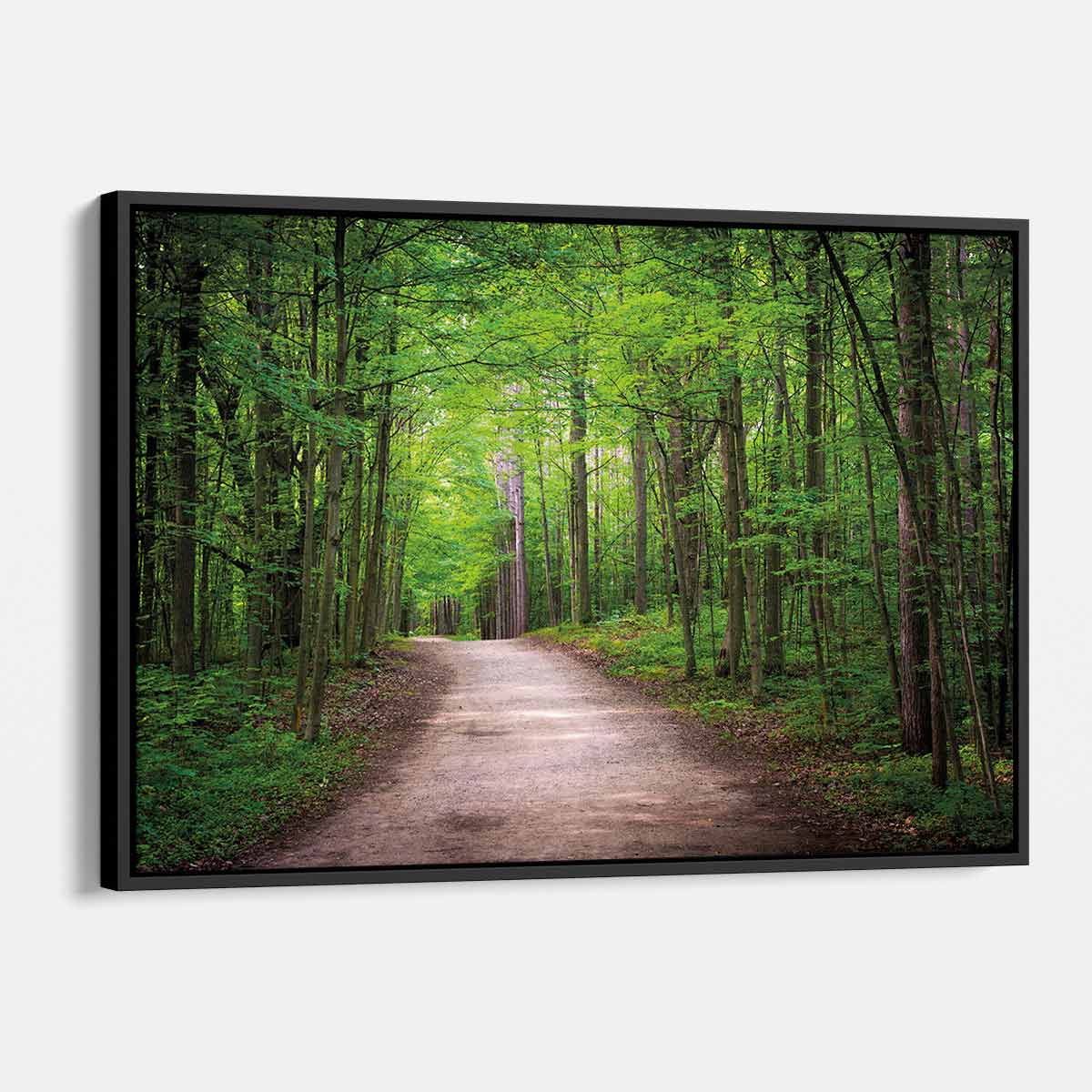 Green Forest Wall Art Canvas 9082 - Nature Landscape Painting for Home & Office Decor | Perfect for Living Room, Bedroom, or Office Wall Decoration
