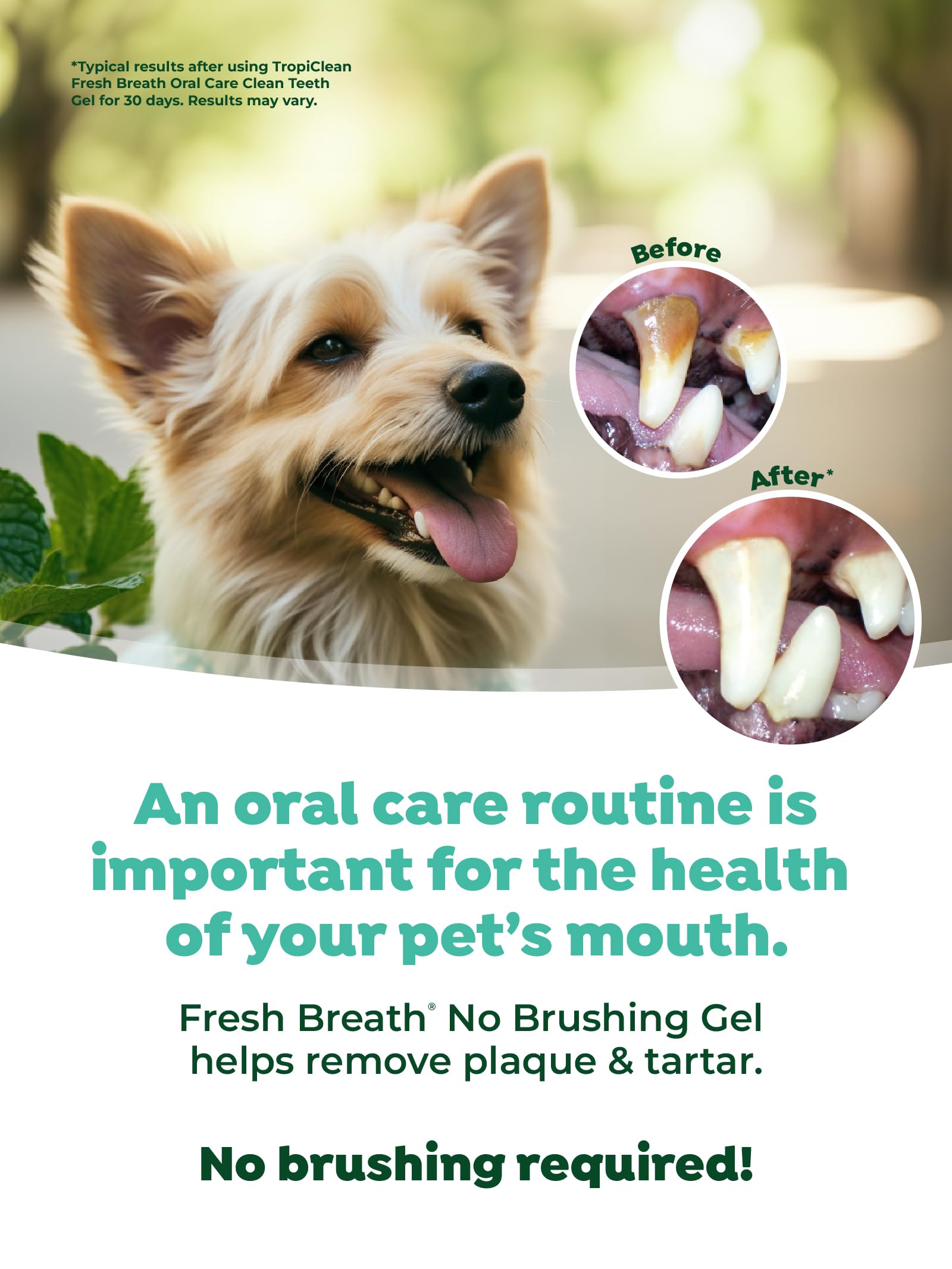 TropiClean Clean Teeth Gel for Dogs - Natural Dog Dental Care & Toothpaste | Freshens Breath & Fights Plaque | Made in USA | 2 oz | Perfect for Daily Oral Hygiene & At-Home Teeth Cleaning