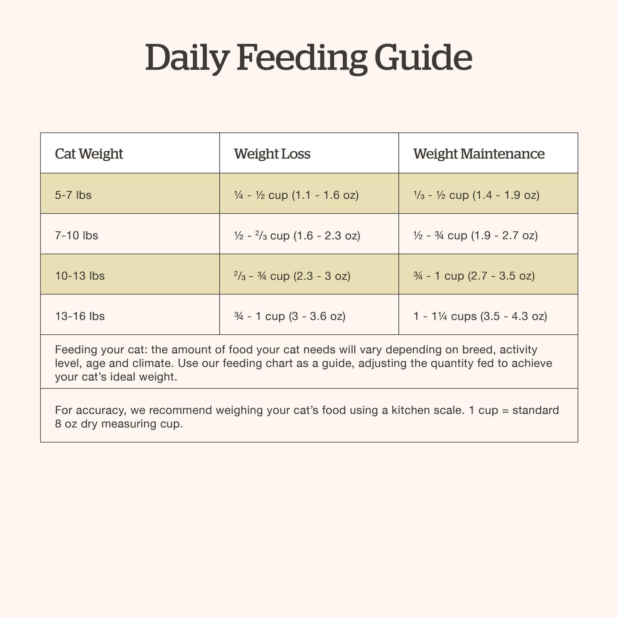 Now Fresh Grain-Free Dry Cat Food - Turkey, Salmon & Duck Recipe for Adult Cats - 16 lb Bag - High Protein Kibble with Real Meat & Fish - Perfect for Indoor & Outdoor Cats