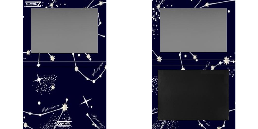 Custom Extra Large Z Palette - Magnetic Makeup Palette for Eyeshadows & Blush - Perfect for Makeup Artists & Travel