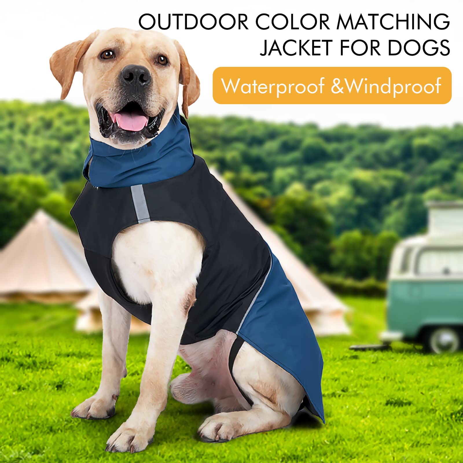 Windproof & Waterproof Dog Winter Coat - Warm Outdoor Jacket with Leash Hole for Cold Weather, Black & Blue - Perfect for Walking, Hiking & Rainy Days