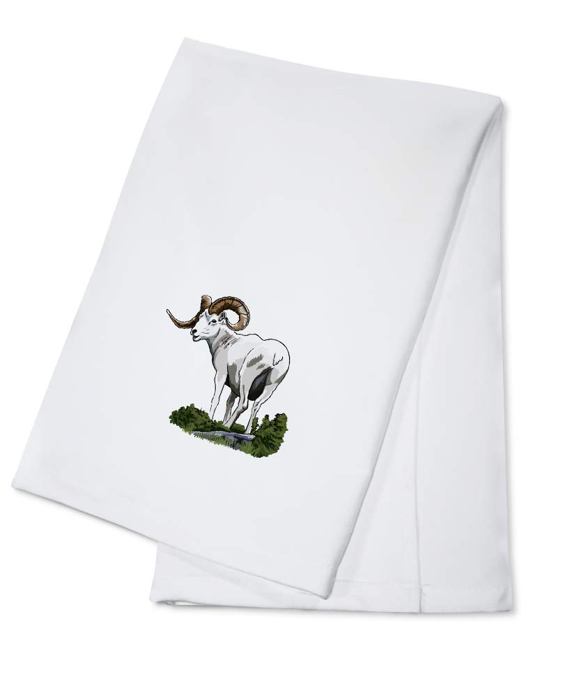 Dall Sheep Iconic 100% Cotton Tea Towel - Decorative Hand Towel for Kitchen & Home | Perfect for Farmhouse Decor, Dish Drying & Gift Giving
