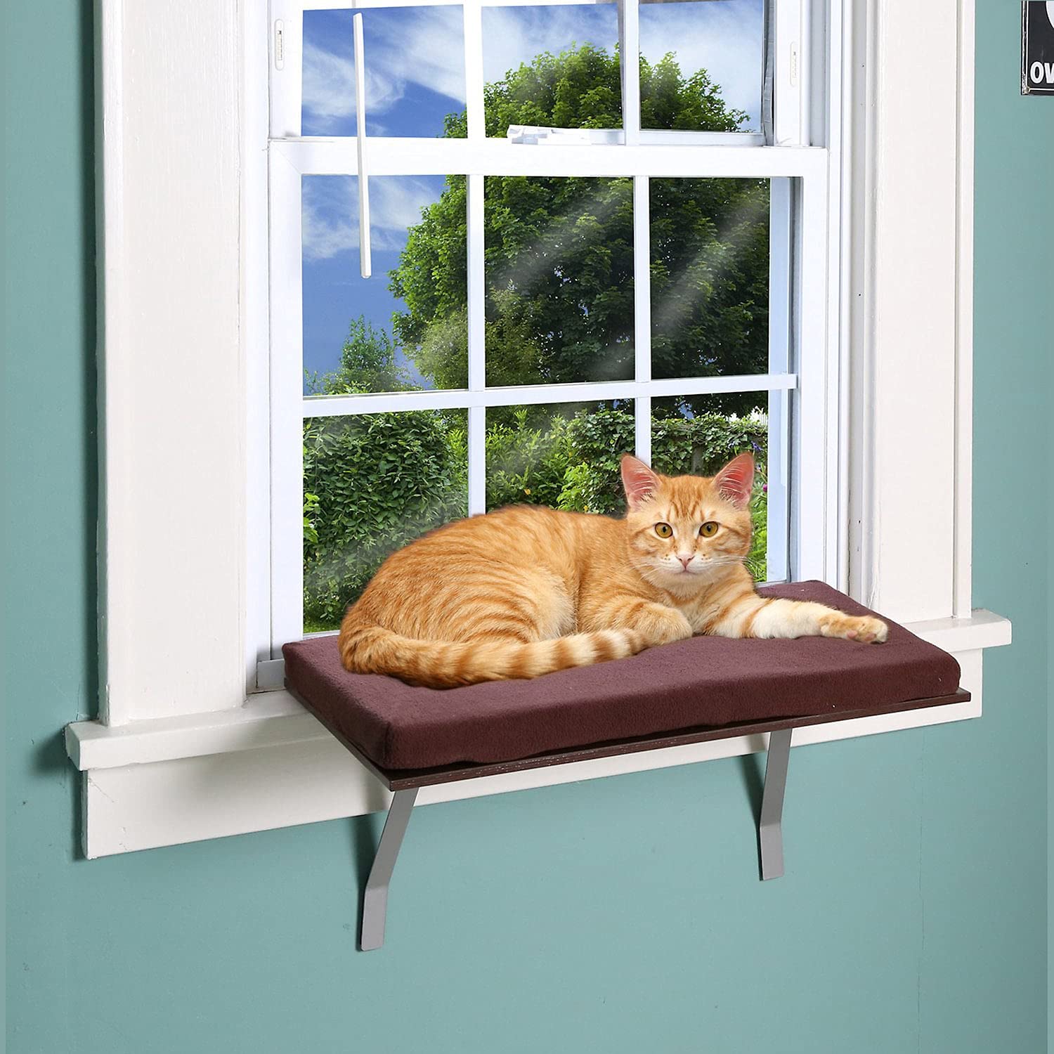 Sunny Kitty Window Perch Seat - Cozy Fleece Foam Cushion with Washable Cover for Cats | Perfect Window Sill Shelf for Cat Napping & Bird Watching