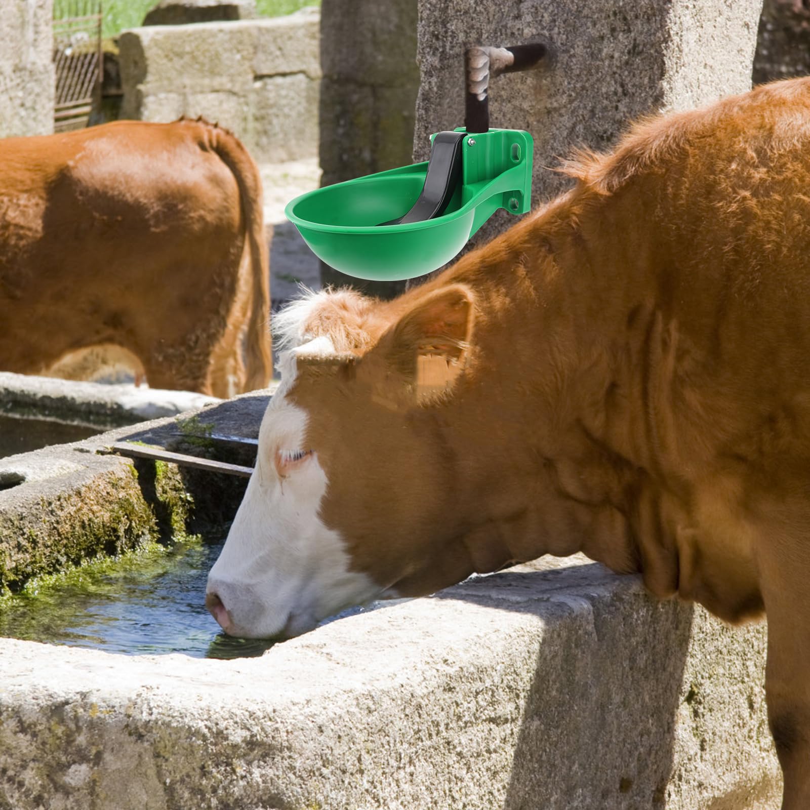 FRCOLOR 3Pcs Plastic Livestock Water Trough - Automatic Drinking Bowl for Horses, Cows, Sheep, Goats, Pigs & Dogs - Durable Animal Water Dispenser for Stable, Farm & Pasture Use