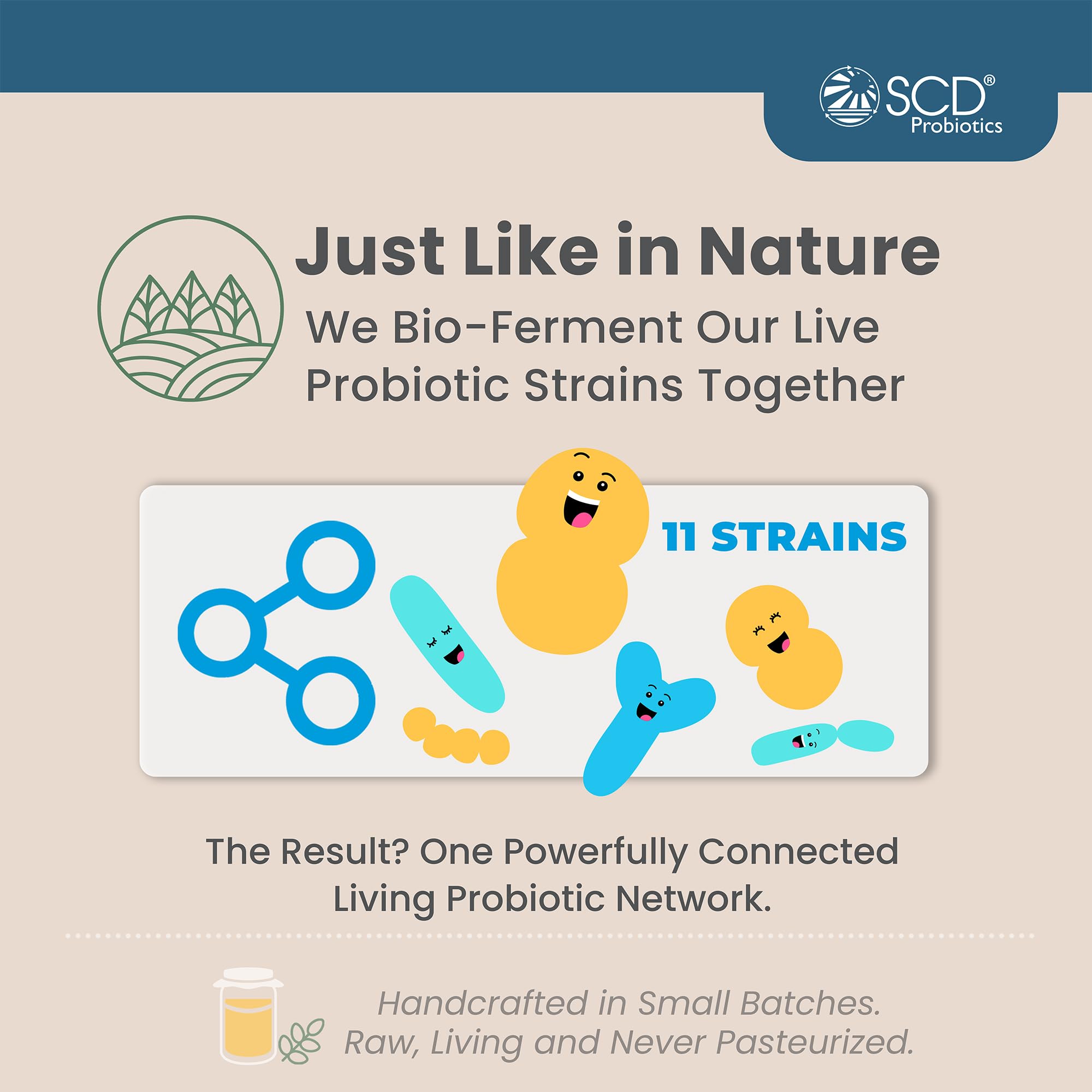 SCD Essential Probiotics for Women, Men, Kids & Toddlers - Live Probiotic Supplement for Digestion, Immunity & Gut Health - 11 Strains Liquid Probiotic - 16.3 fl oz (3 Pack) - Supports Daily Wellness for Families & Active Lifestyles