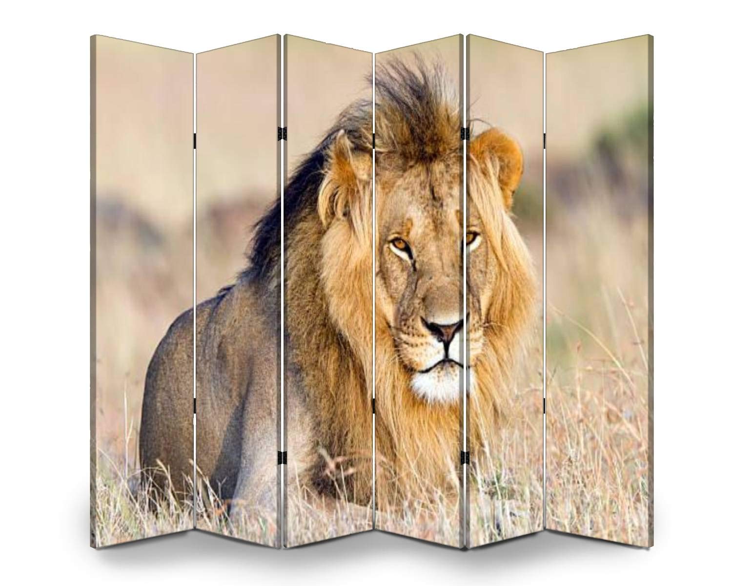 6-Panel Wooden Folding Screen Room Divider with Lion Resting in Masai Mara Kenya African Animals Canvas Print - Dual-Sided Privacy Partition for Home Office, Bedroom & Indoor Display Shelves