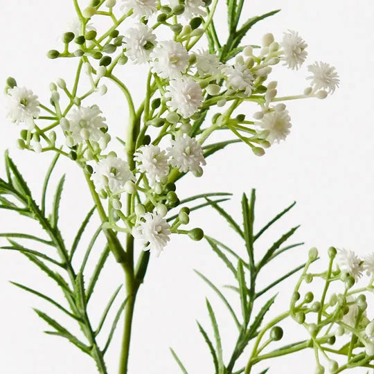 Premium White Gypsophila Baby's Breath Flowers - Perfect for Wedding Bouquets, Home Decor & Romantic Gift Arrangements