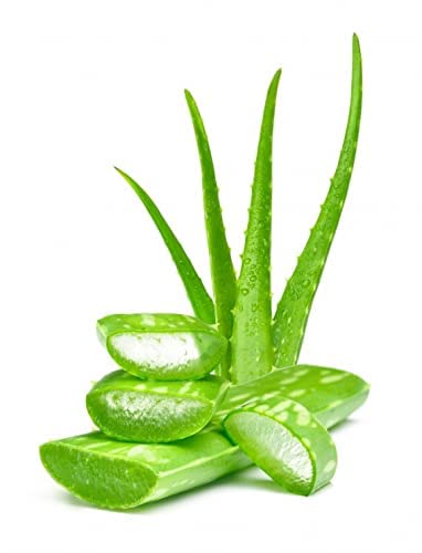 Organic Aloe Vera Powder for Face, Skin & Hair Care - 100% Pure & Natural Aloe Powder for DIY Beauty, Smoothies & Sunburn Relief - 1Kg (2.2 lbs)