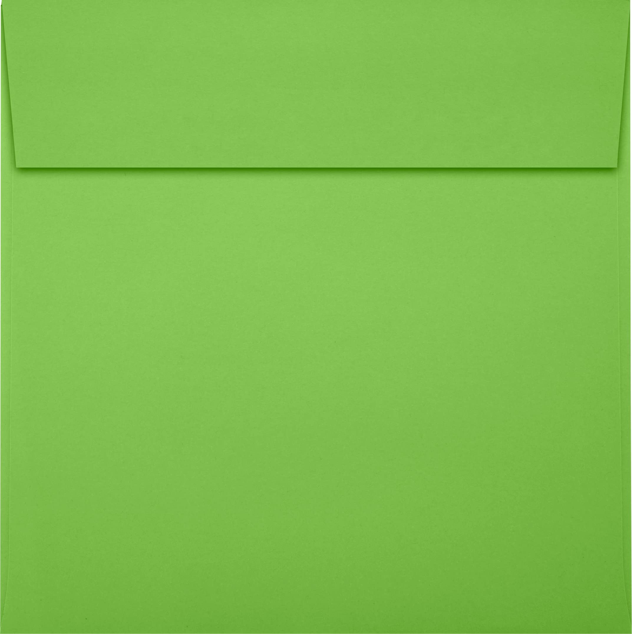Premium LUXPaper Square Invitation Envelopes 6