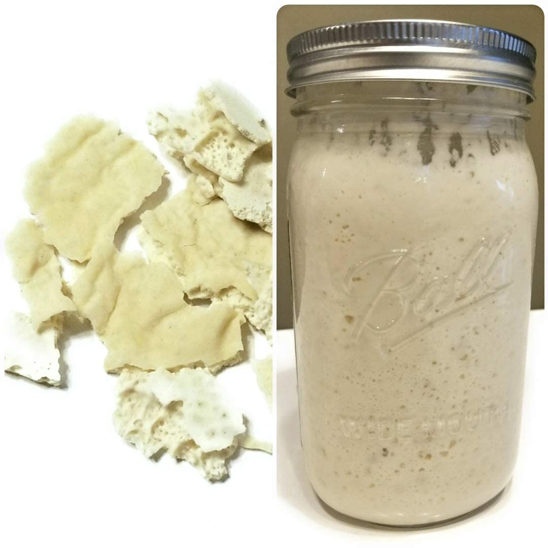 Organic Wild Wheat Sourdough Starter - Dehydrated & Dried Sourdough Culture for Homemade Bread Baking | Artisan Sourdough Bread Starter Kit | Perfect for Beginners & Bakers | Use for Rustic Loaves, Pizza Dough & Pastries