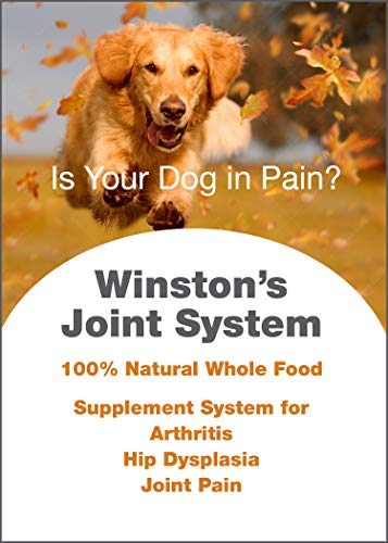**Joint System for Medium Dogs (40-99 lbs) - 100% Natural Whole Food Supplement for Arthritis, Hip Dysplasia & Joint Pain Relief - 1 Month Supply - Since 1992 - Supports Mobility & Comfort for Active Pets**