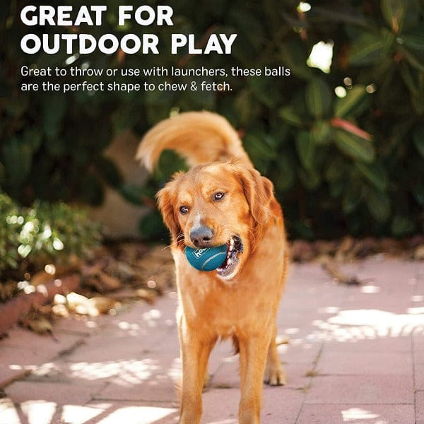 Outward Hound Squeaker Ballz Dog Toy - Durable Chew Toys for Small & Large Dogs - Fun Interactive Play for Indoor & Outdoor Use