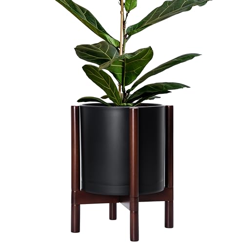 Matte Black Pot + Mahogany Stand