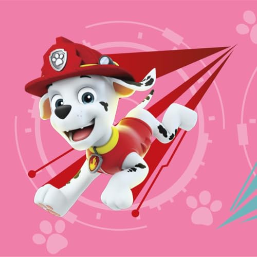 Paw Patrol - Skye & Everest