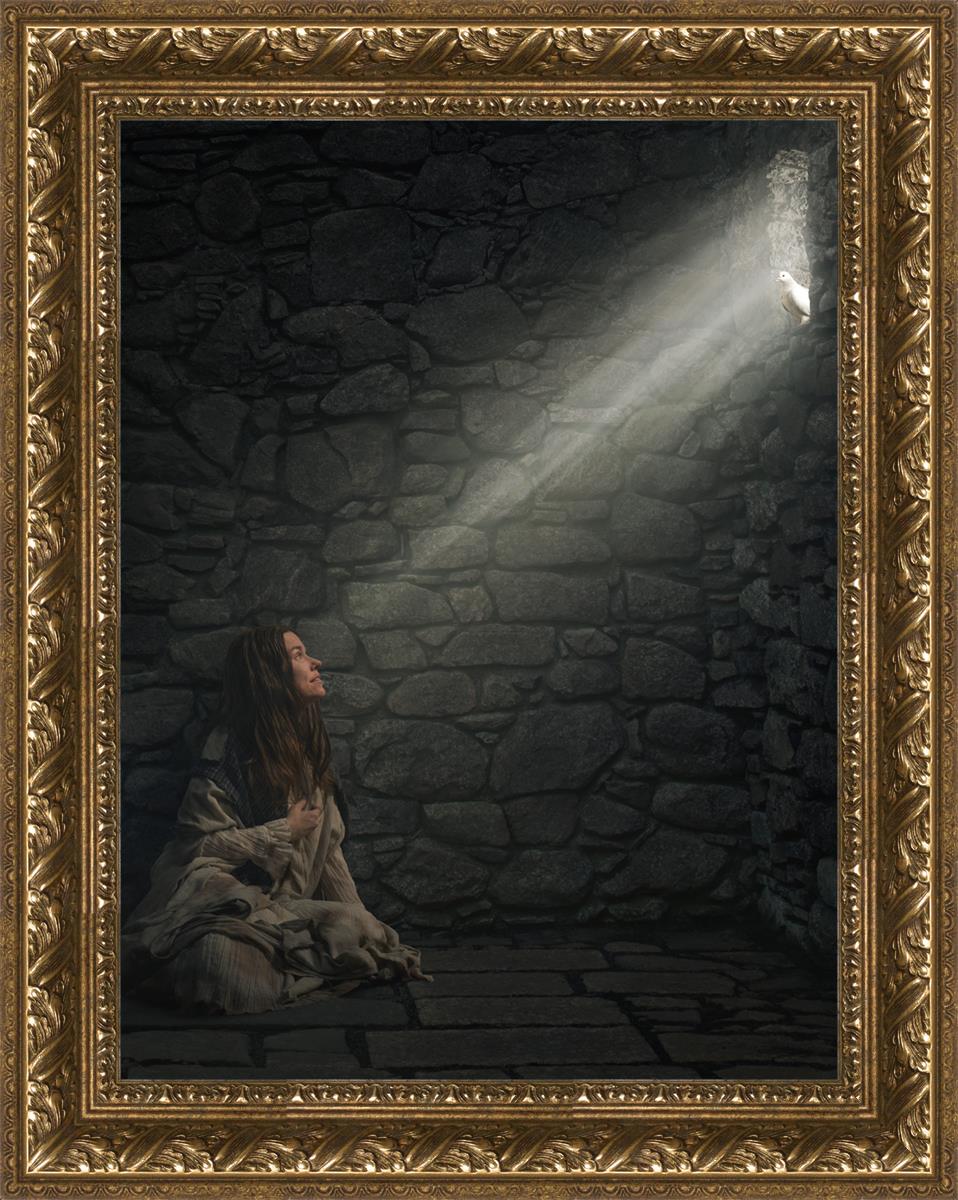 A Captive's Hope - Inspirational Novel for Overcoming Adversity | Perfect for Book Clubs, Personal Growth & Motivational Reading