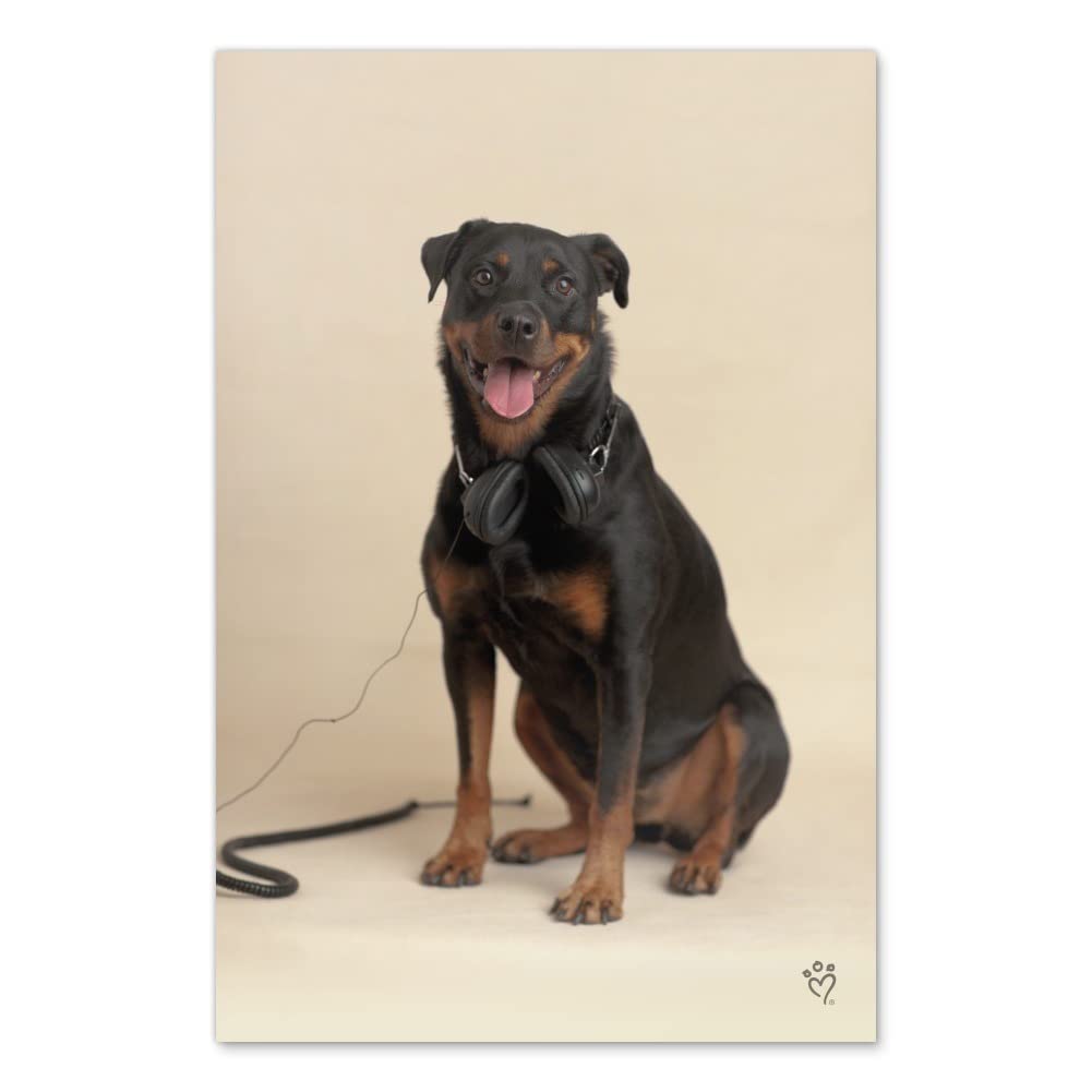 Rottweiler Dog Headphones Sitting DJ Wall Art Poster - Home Decor Picture for Living Room, Bedroom & Office - Unique Graphic Art Print for Music & Dog Lovers