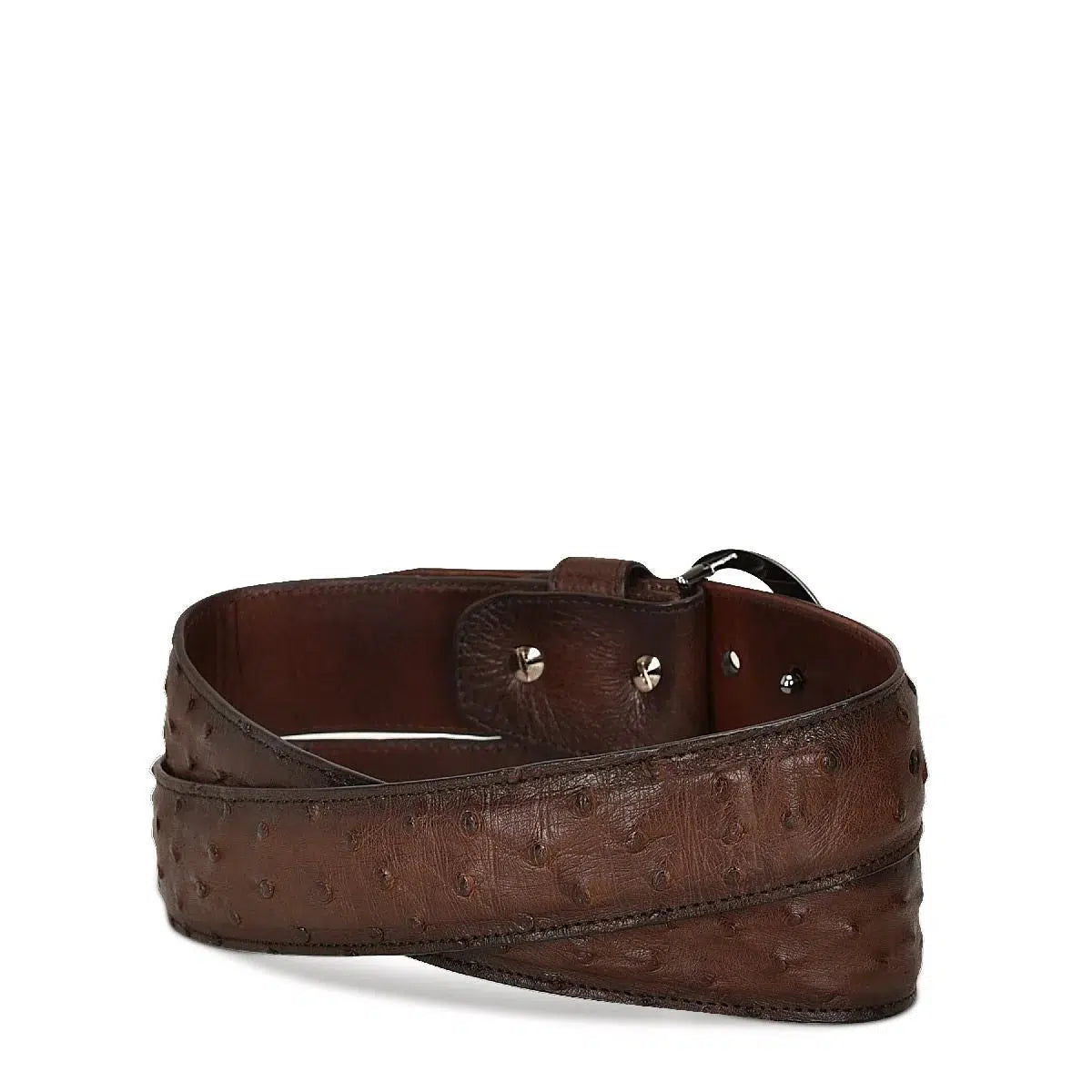 CS381A1 Genuine Ostrich Leather Belt for Men - Brown Casual Fashion Belt - Perfect for Business, Office & Everyday Wear