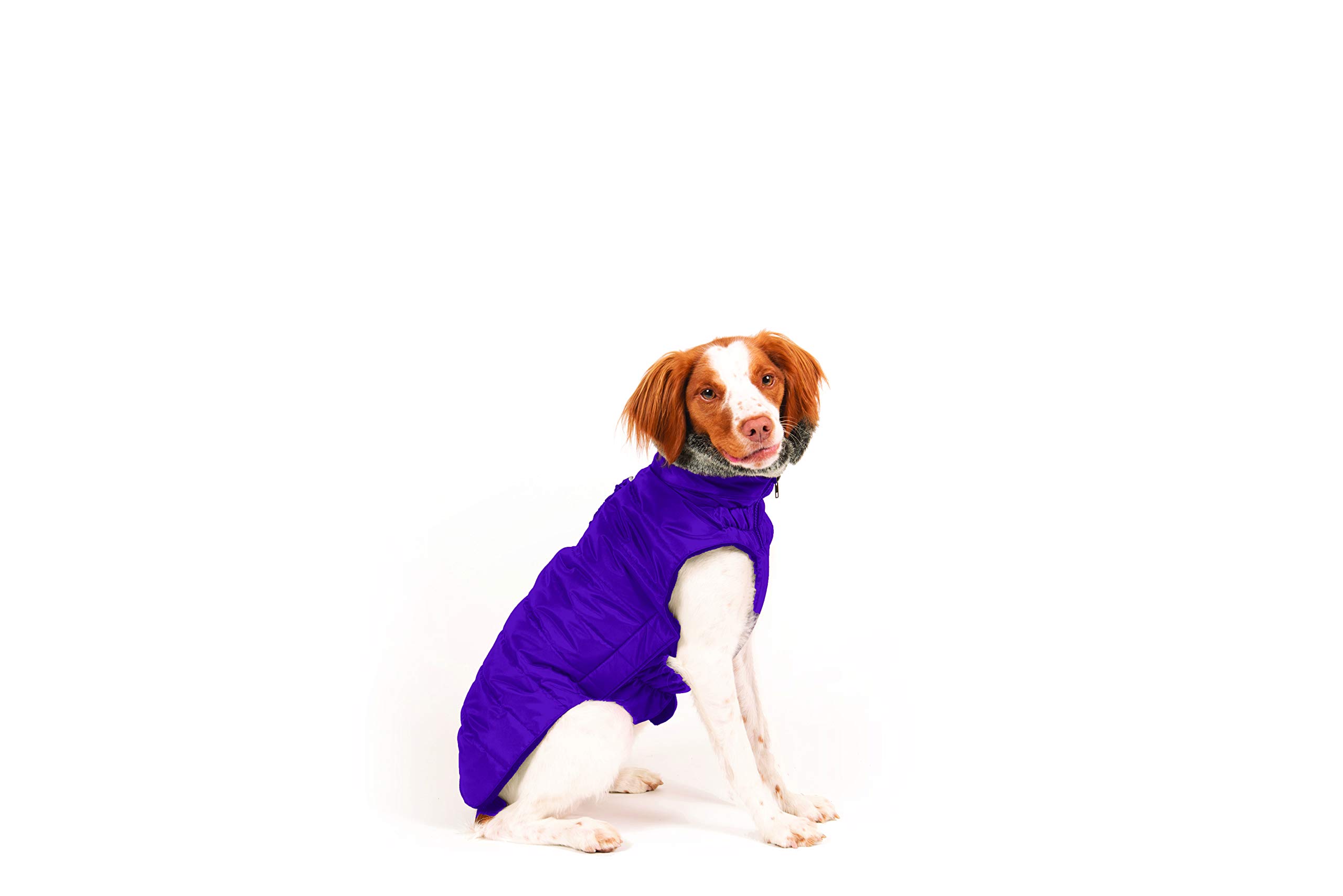 Dog Gone Smart Hemlock Puffy Dog Jacket - Waterproof Winter Coat for Small Dogs, Indigo Blue, Size 16