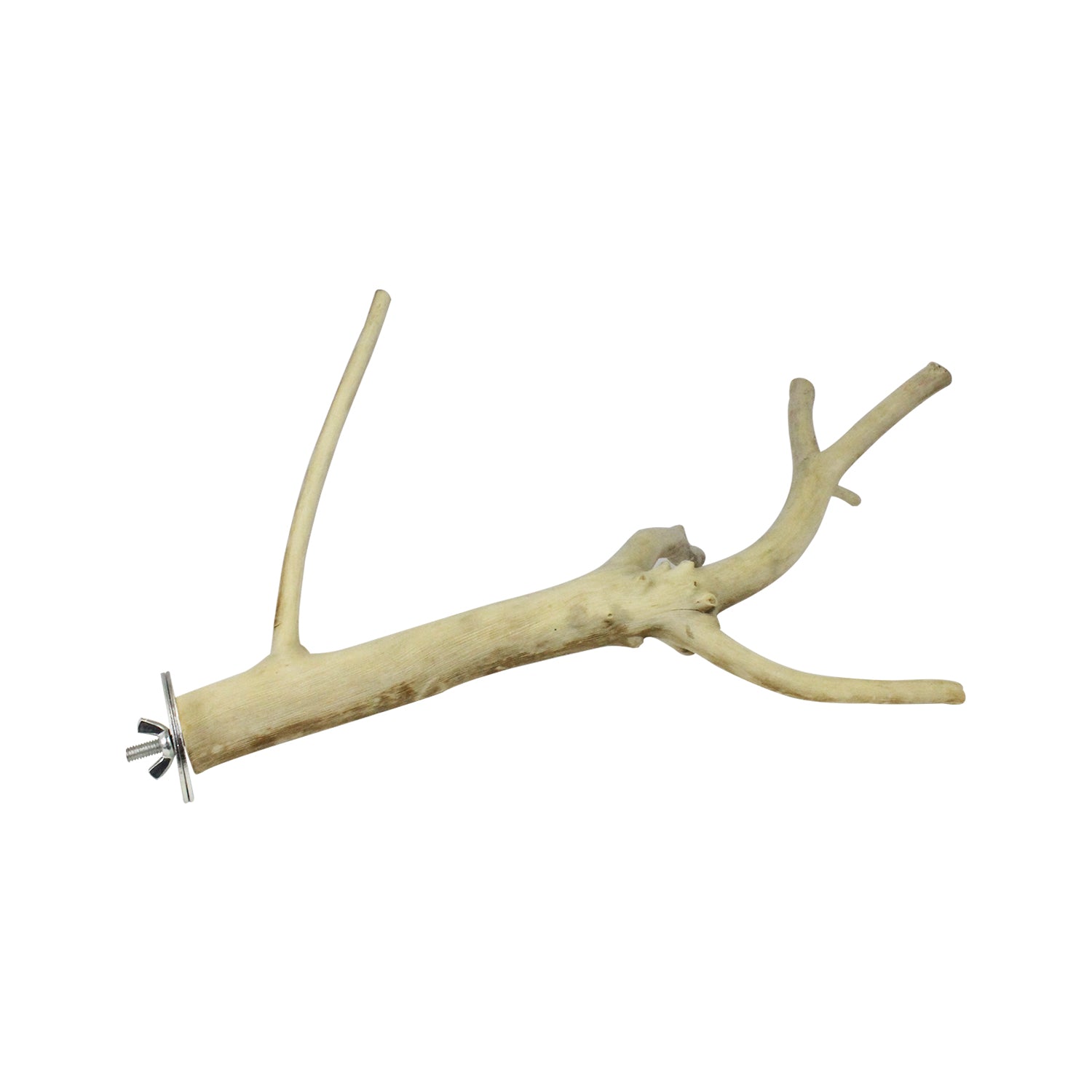 Multi Branch Perch for Birds - Natural Wood Bird Perch Stand with Multiple Branches - Perfect for Parrots, Cockatiels & Small Birds - Cage & Play Gym Accessory