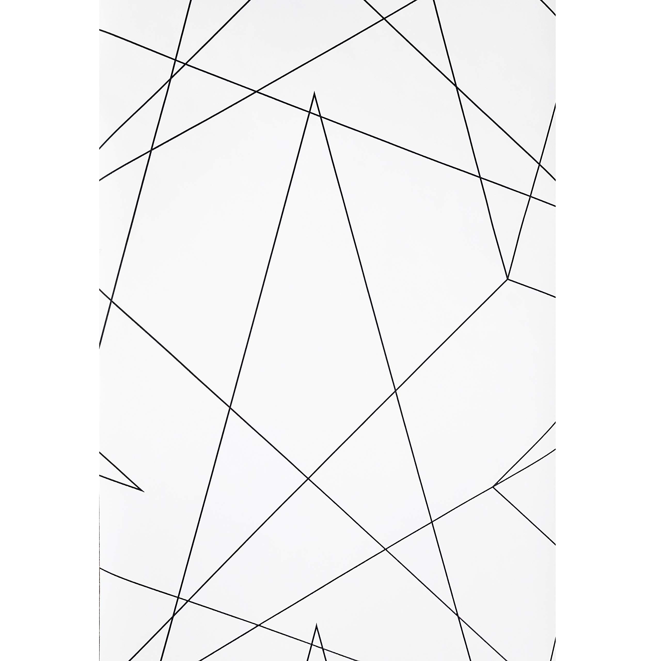 Modern Black and White Fractal Triangle Geometric Lines Wallpaper - Double Rolls for Home Wall Coverings | Perfect for Living Room, Bedroom & Office Decor