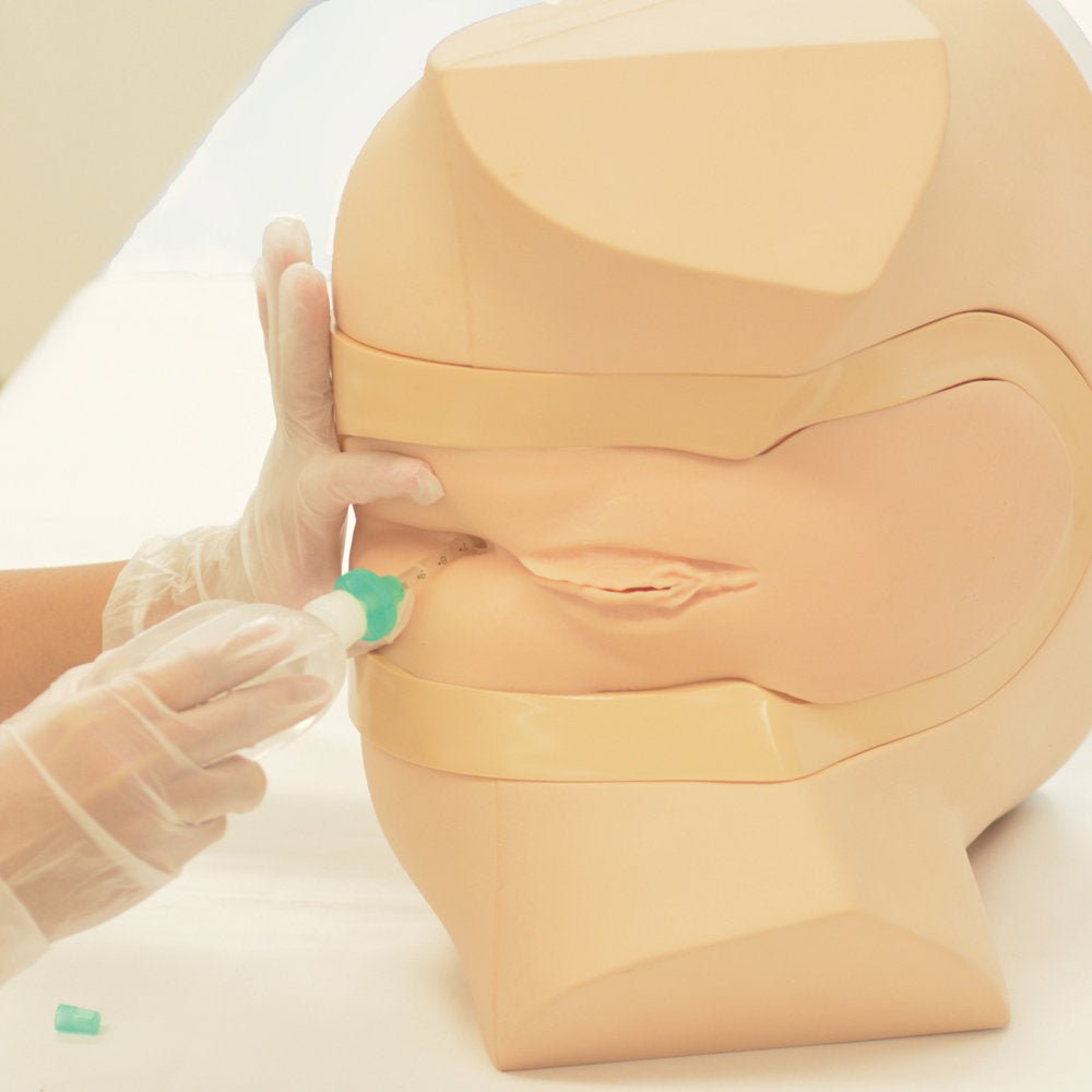 Female Catheterization & Enema Training Simulator - Medical Practice Model for Nursing Students & Healthcare Professionals - Perfect for Clinical Skills Training & Patient Care Education