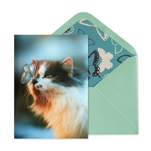 Cat and Butterfly